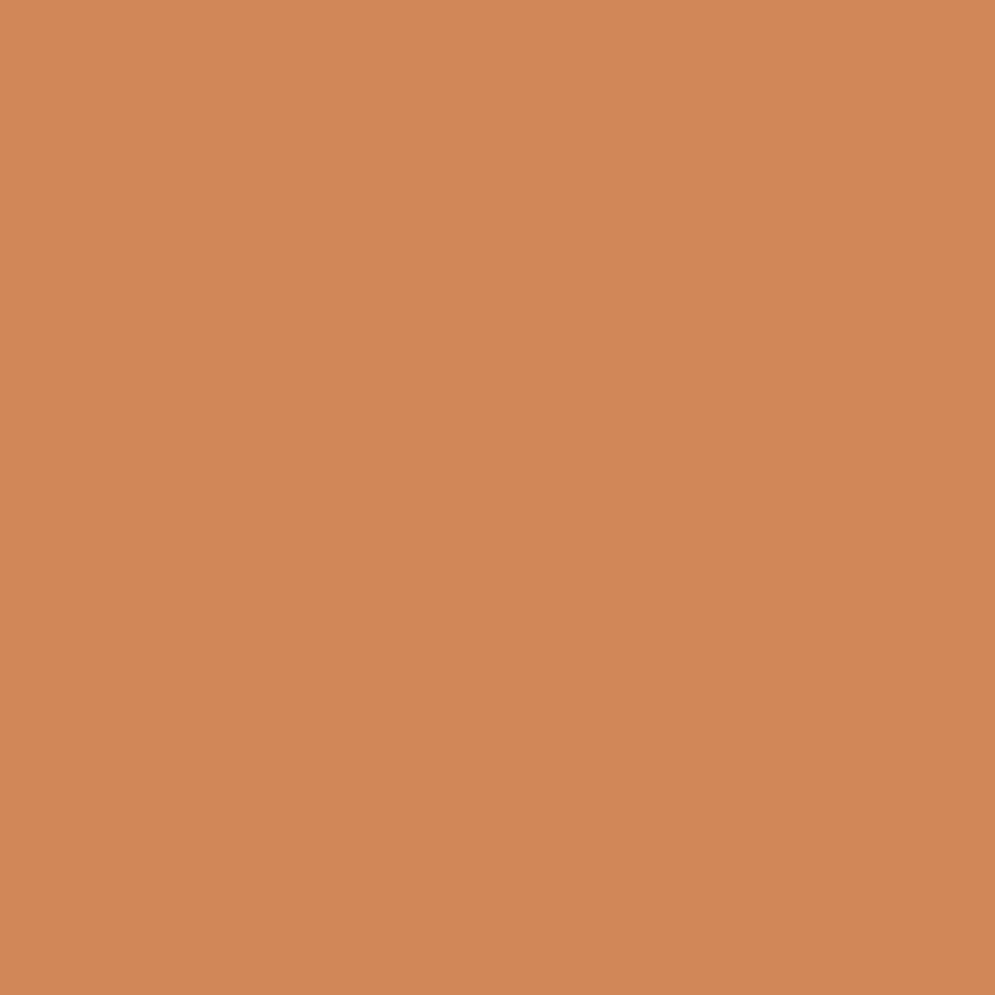 Terracotta Joli Teint Protecting Tinted Moisturizer