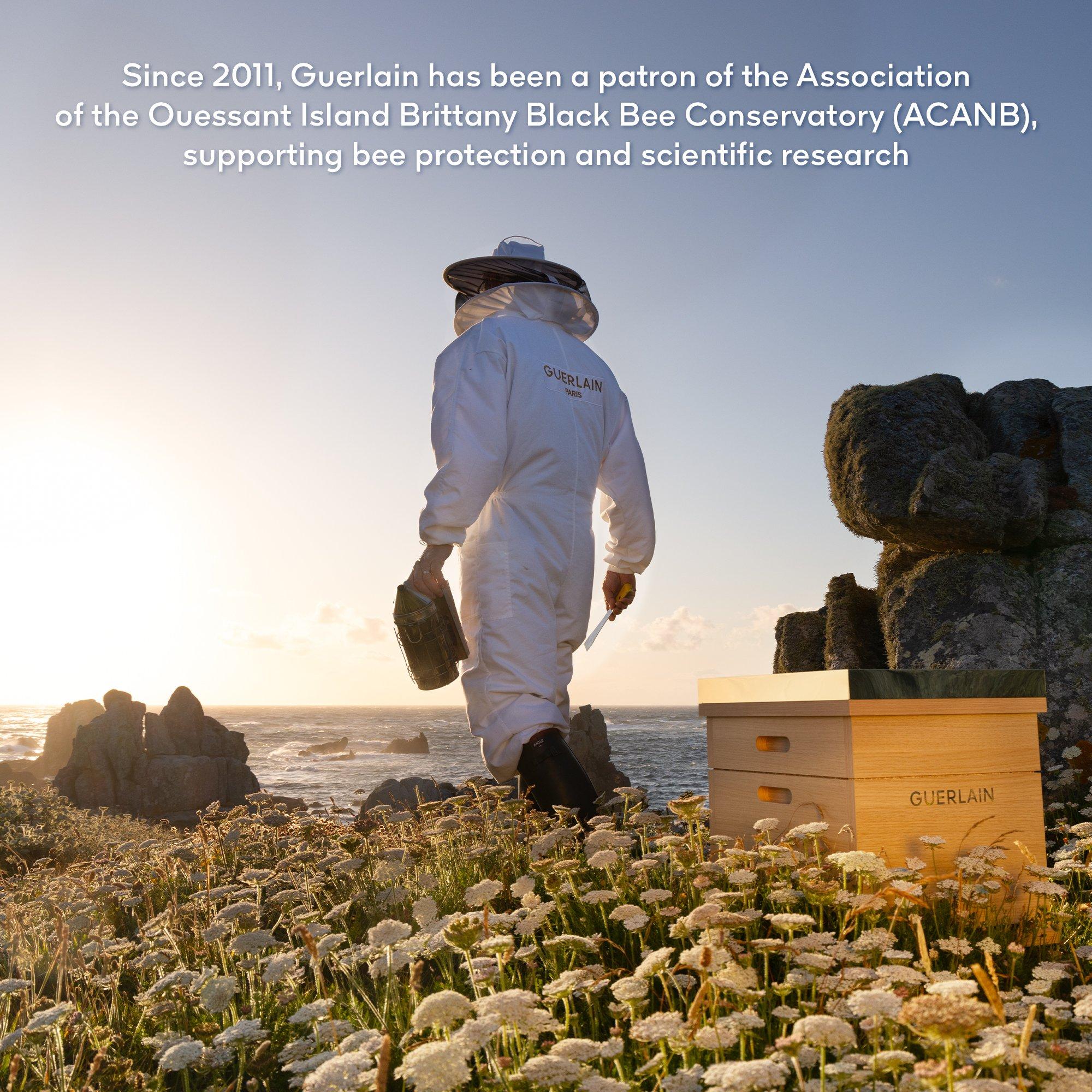 None - Guerlain - ABEILLE ROYALE YOUTH REPAIR EYE CARE - 8