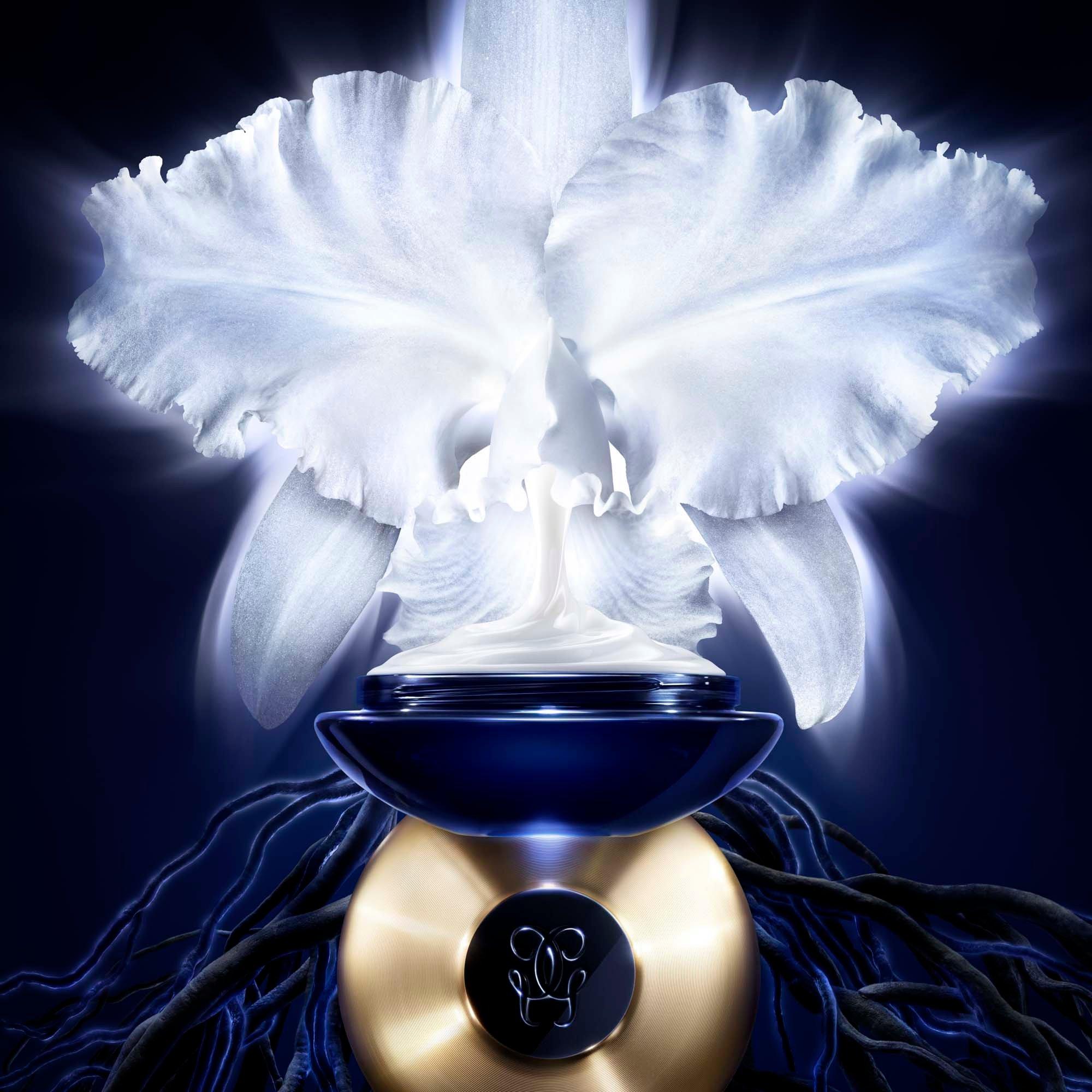 White - Orchidee - Orchidee Imperiale Rich cream - 3