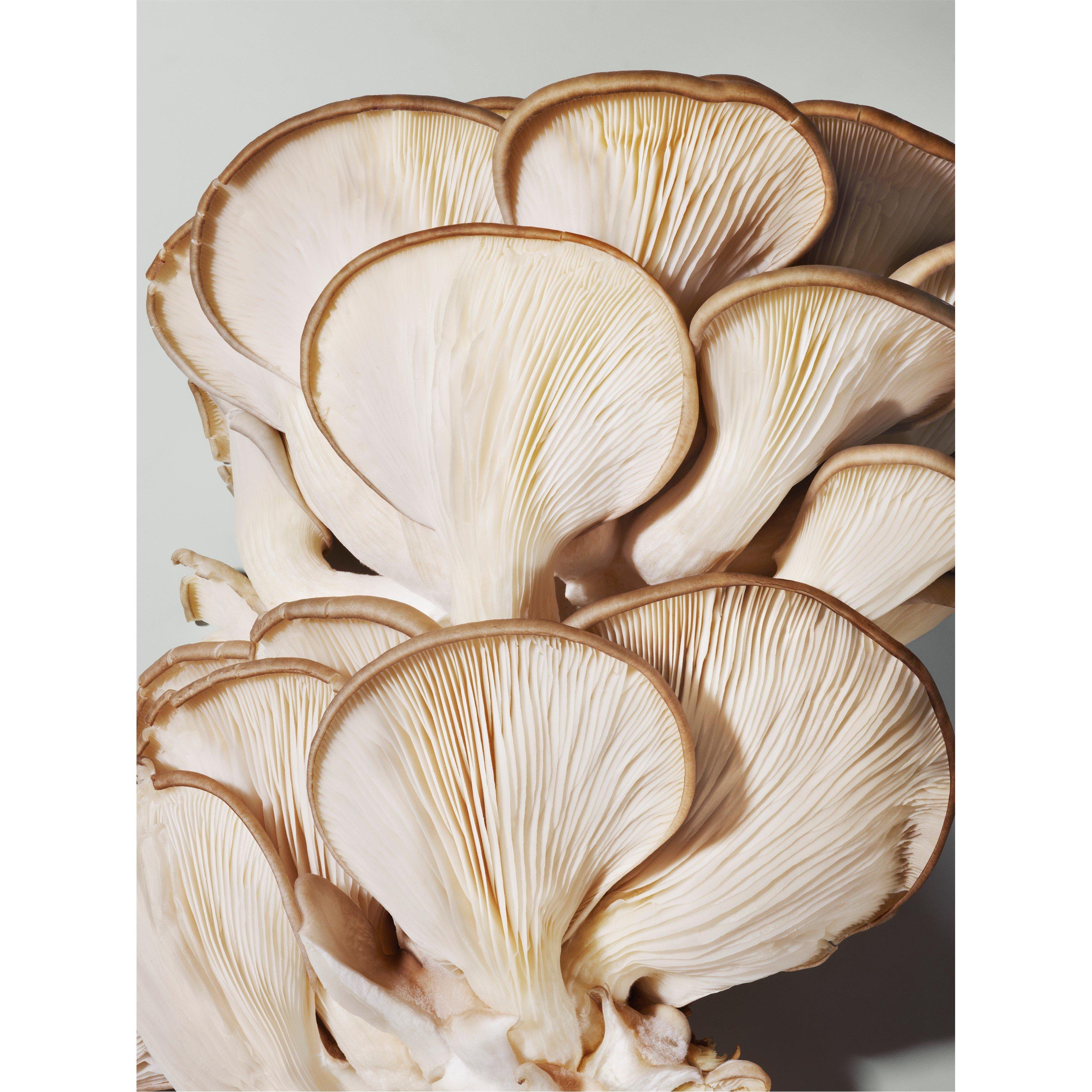 None - Origins - DR. ANDREW WEIL FOR ORIGINS™ Mega-Mushroom Relief & Resilience Advanced Face Serum - 4