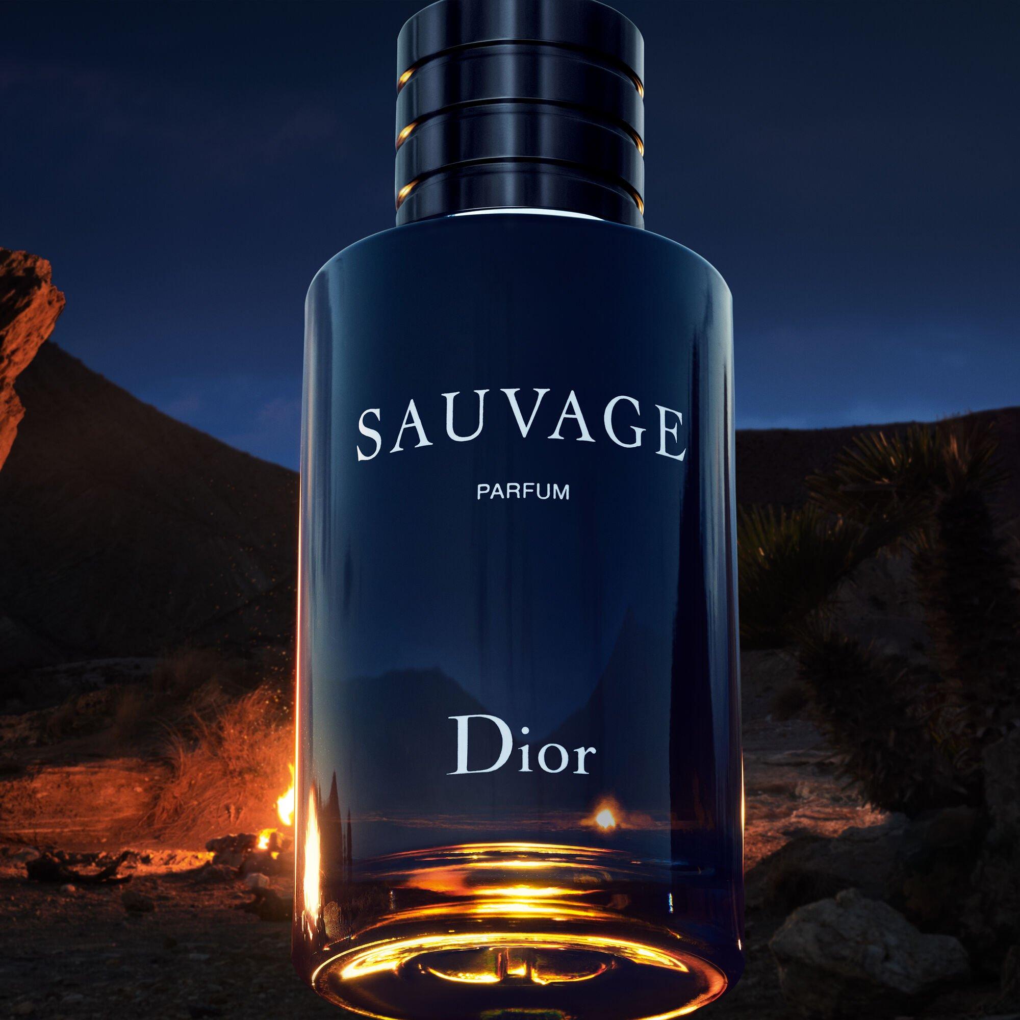 Mist - DIOR - Sauvage Parfum - 6