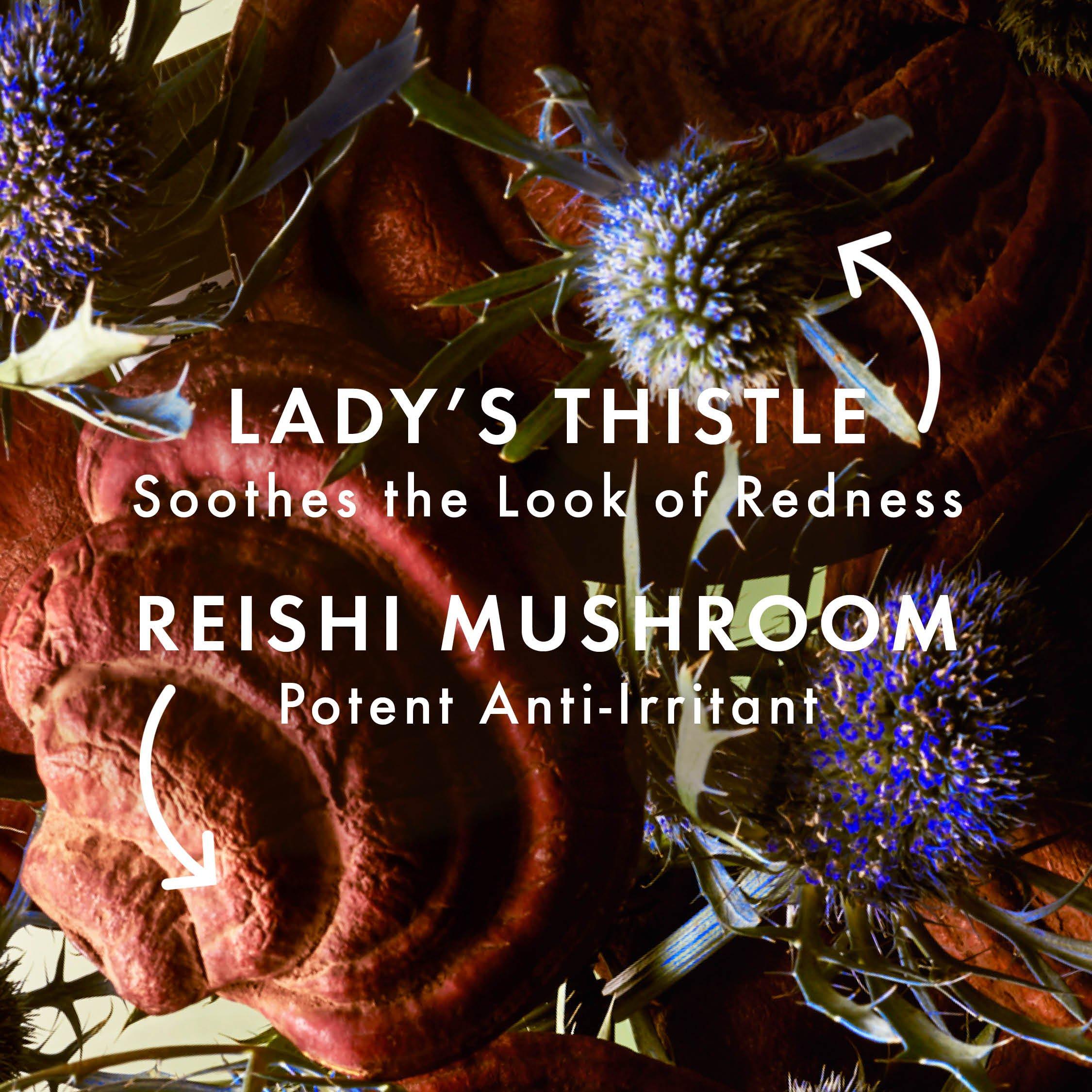 Liquid - Origins - Mega Mushroom Eye - 4