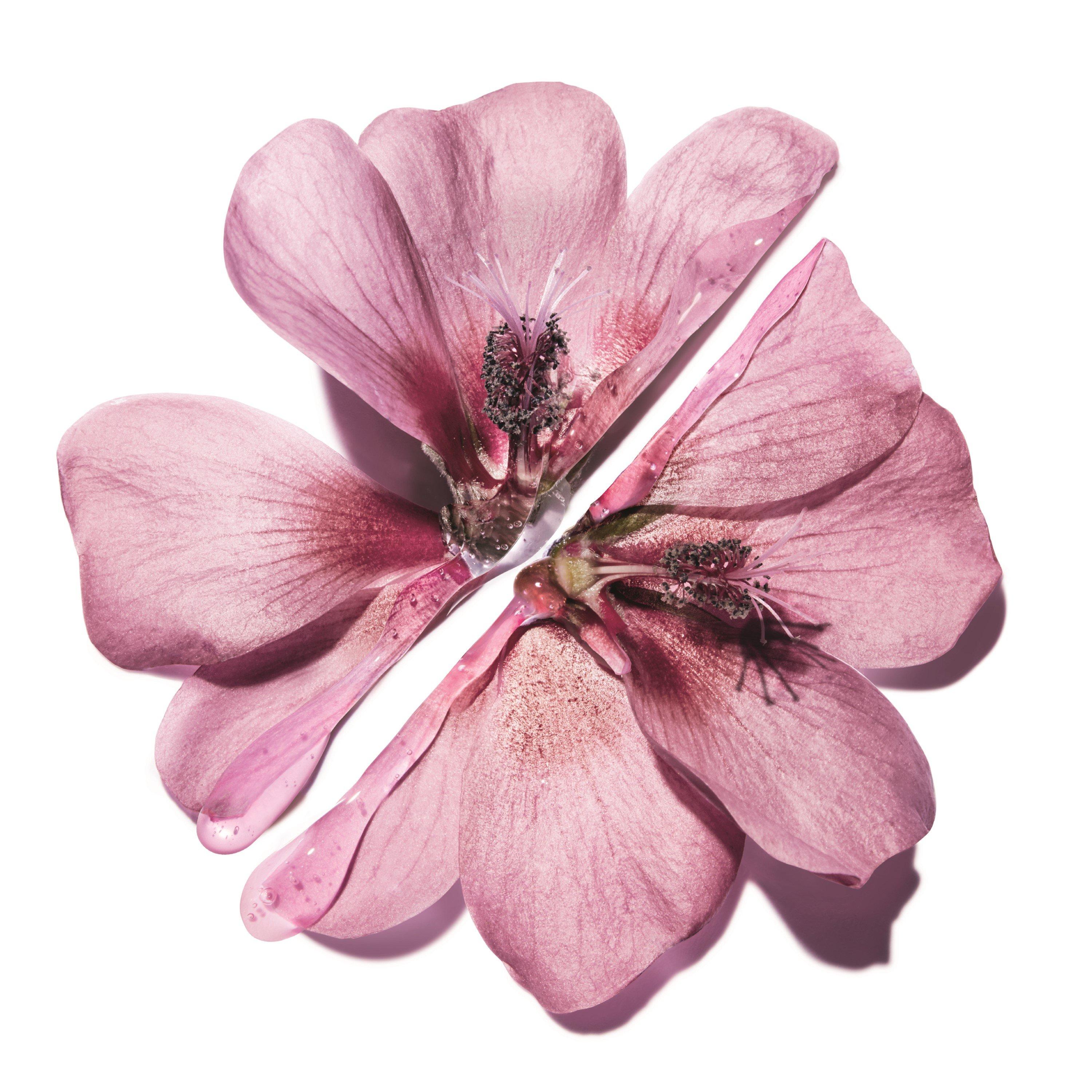 Oil - Yves Saint Laurent - Light Up Serum Recharge - 3