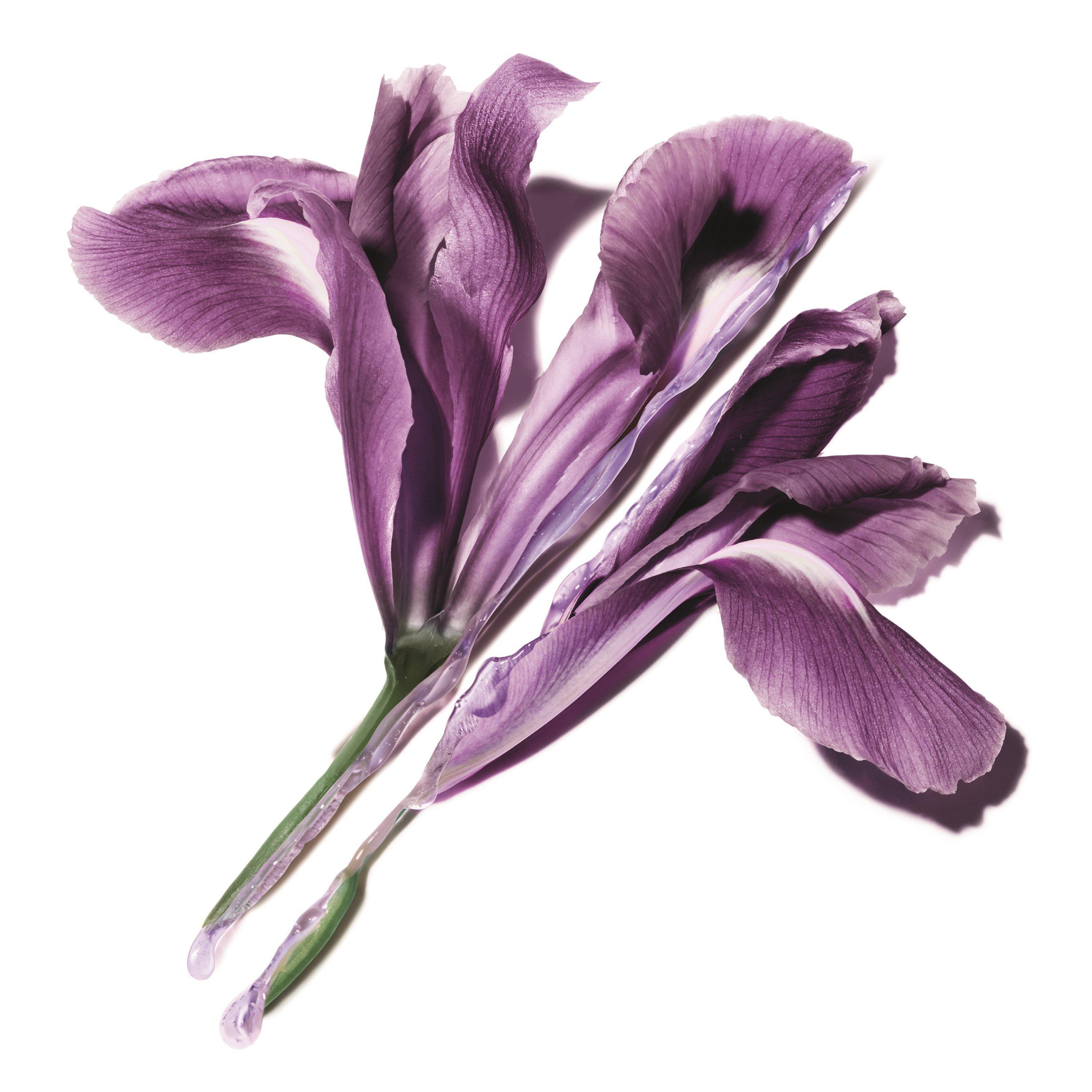 Oil - Yves Saint Laurent - Lines Away Serum - 5