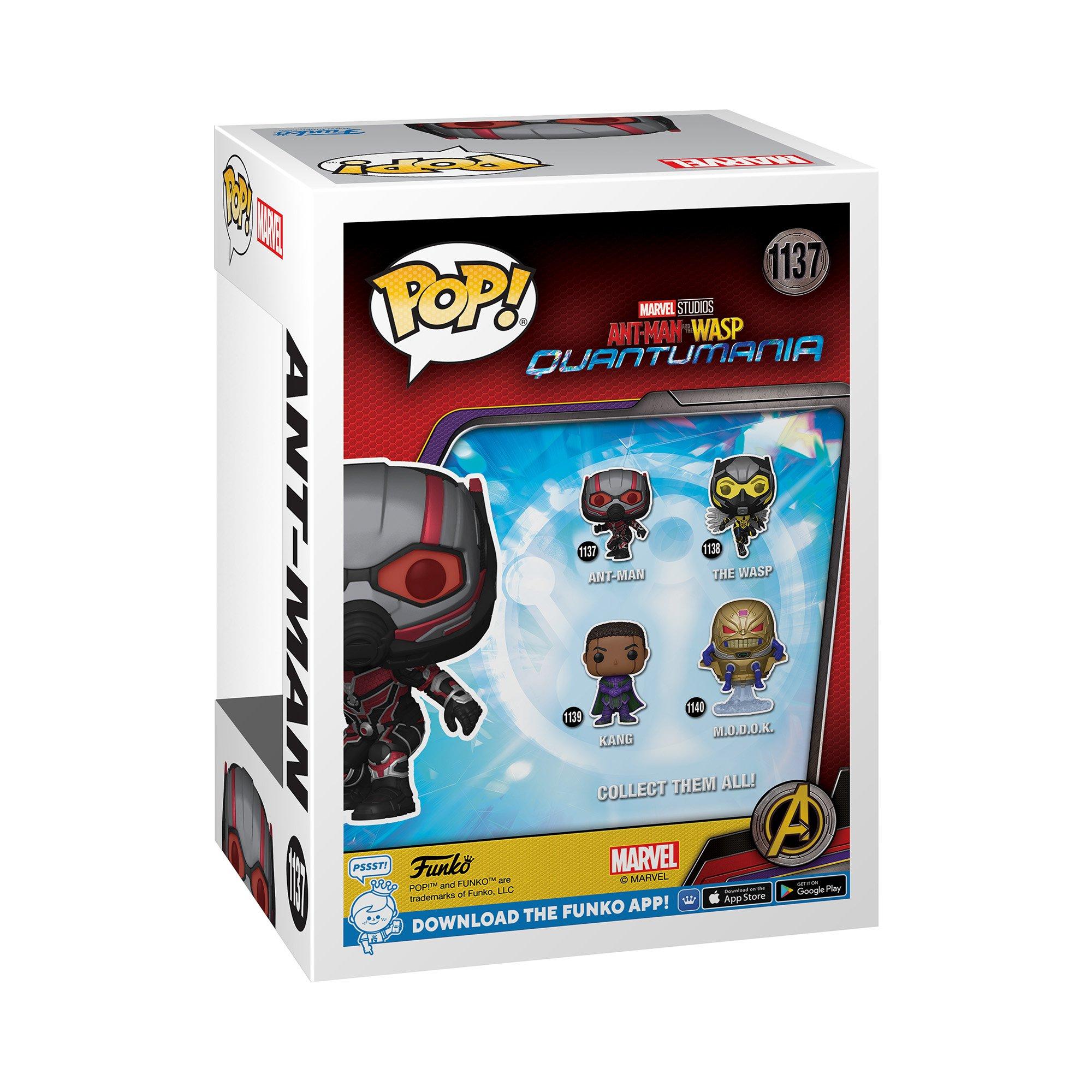 Mercadoria - FUNKO - Vinyl: AM:QM- Ant Man - 2