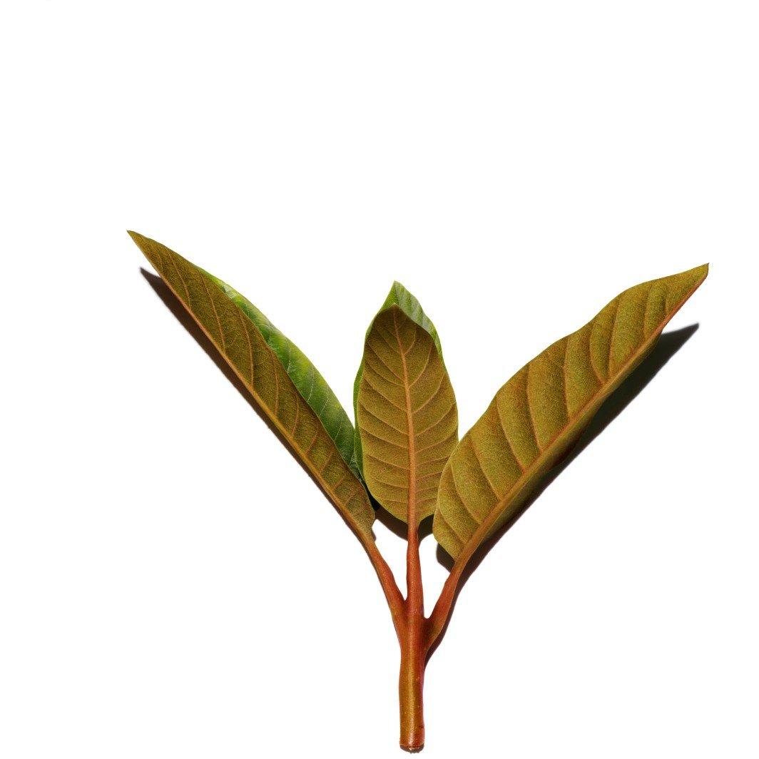 Serum - Clarins - Super Restorative Remodelling Serum - 3