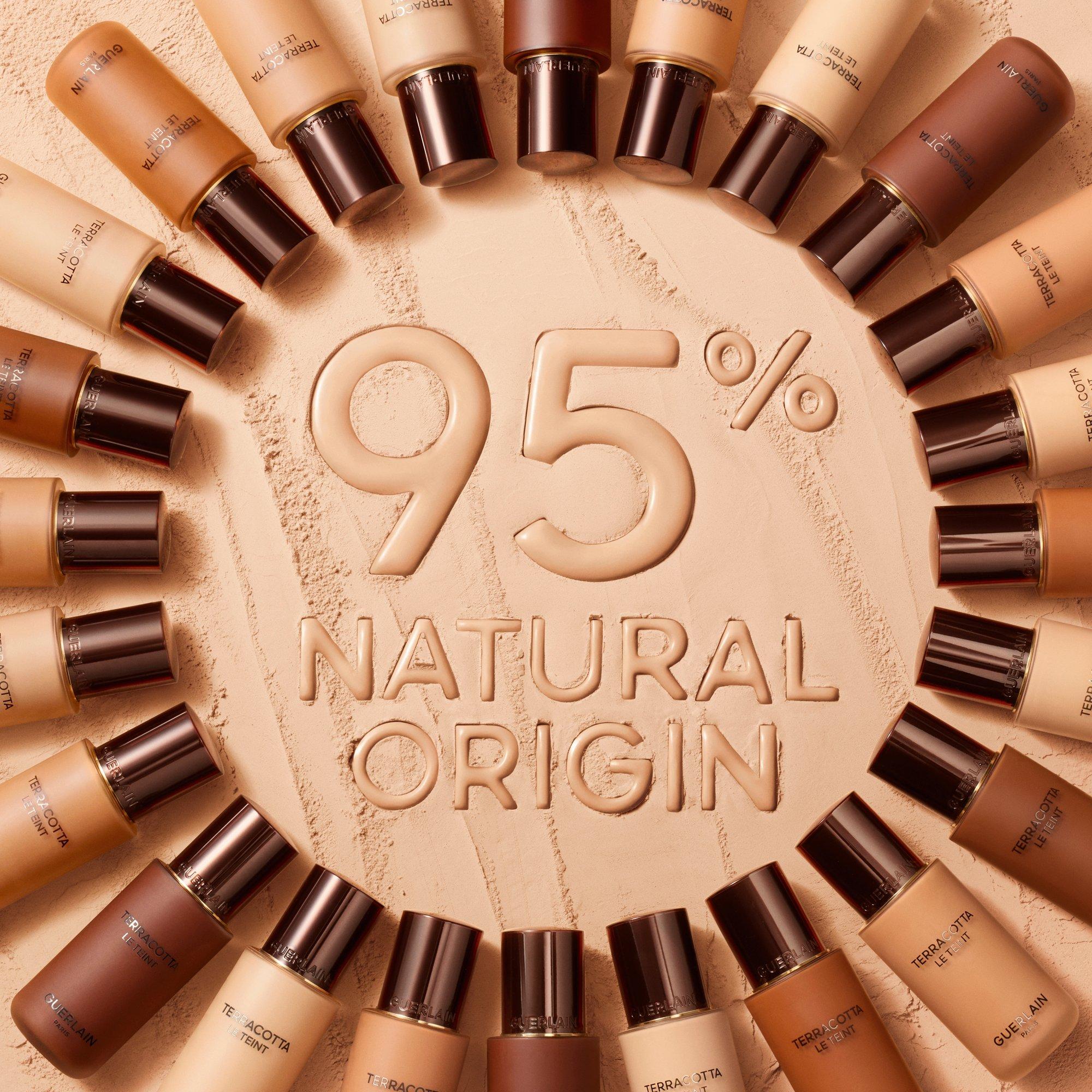 2C - Guerlain - Terracotta Le Teint Matte Foundation - 8
