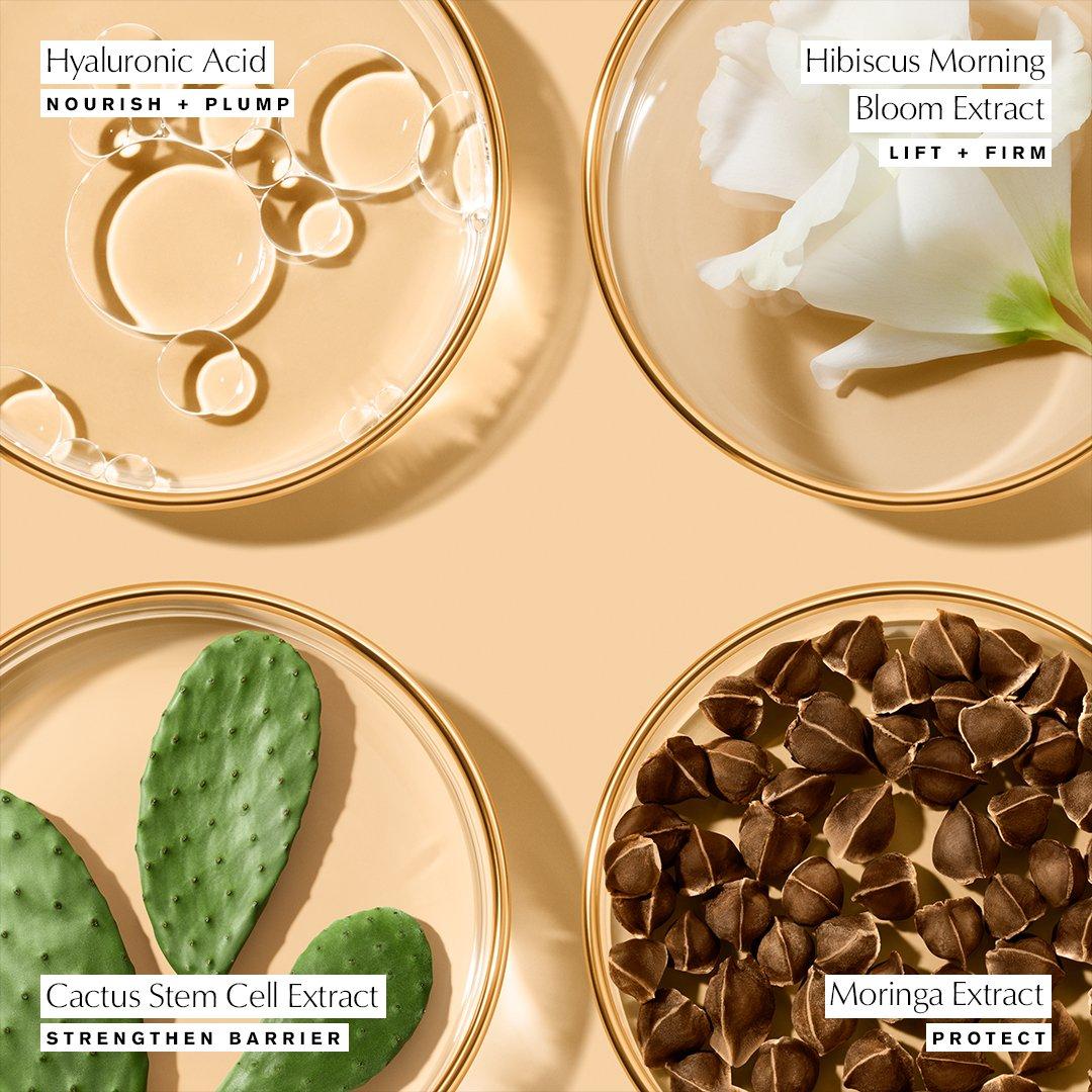 Clear - Estee Lauder - Revitalizing Supreme+ Youth Power Soft Creme Moisturiser - 4