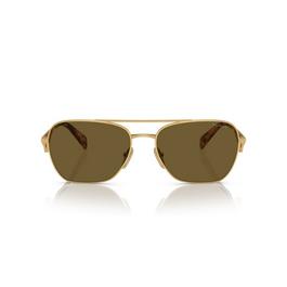 Prada Triangle Logo Sunglasses