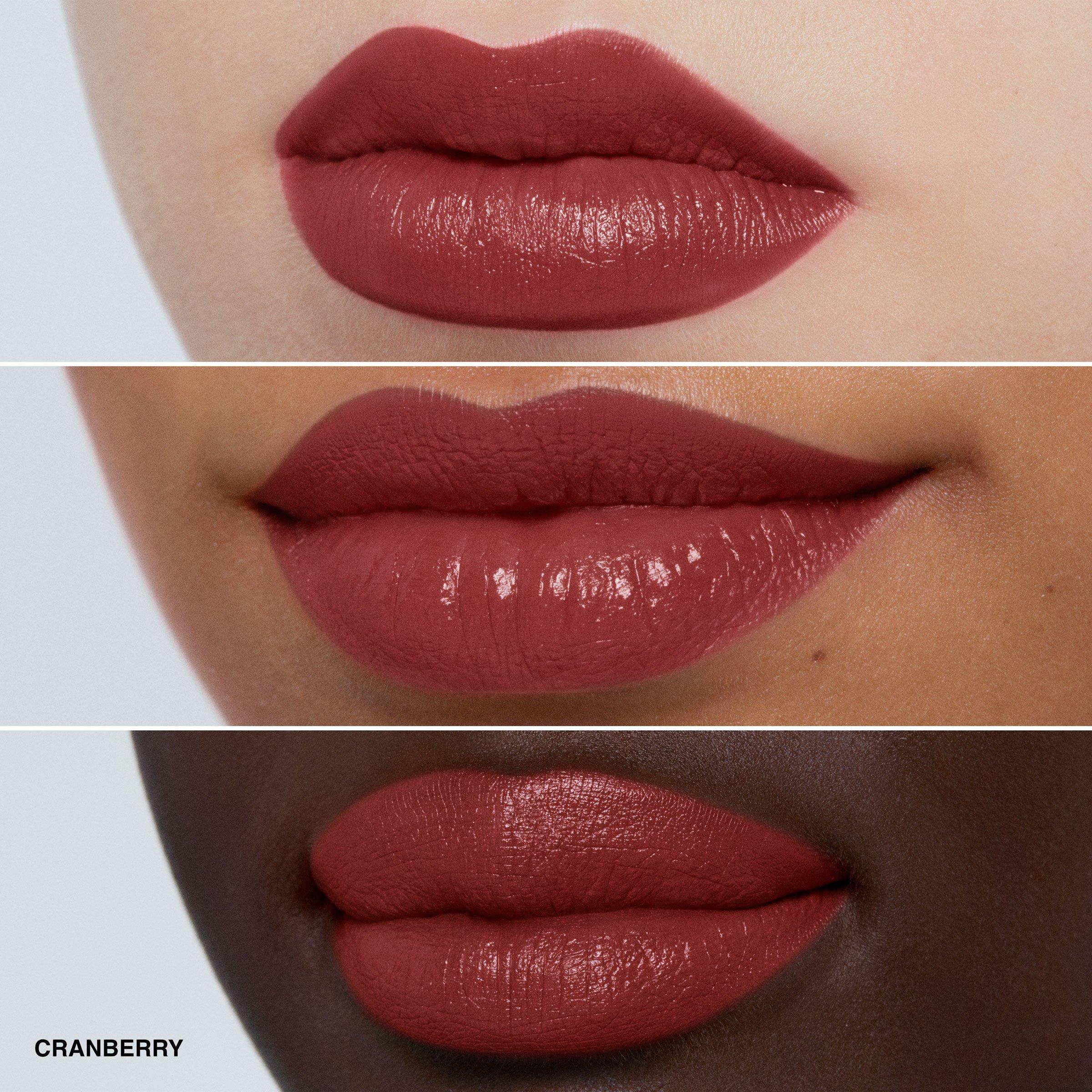Cranberry - Bobbi Brown - Luxe Lipstick 10g - 3