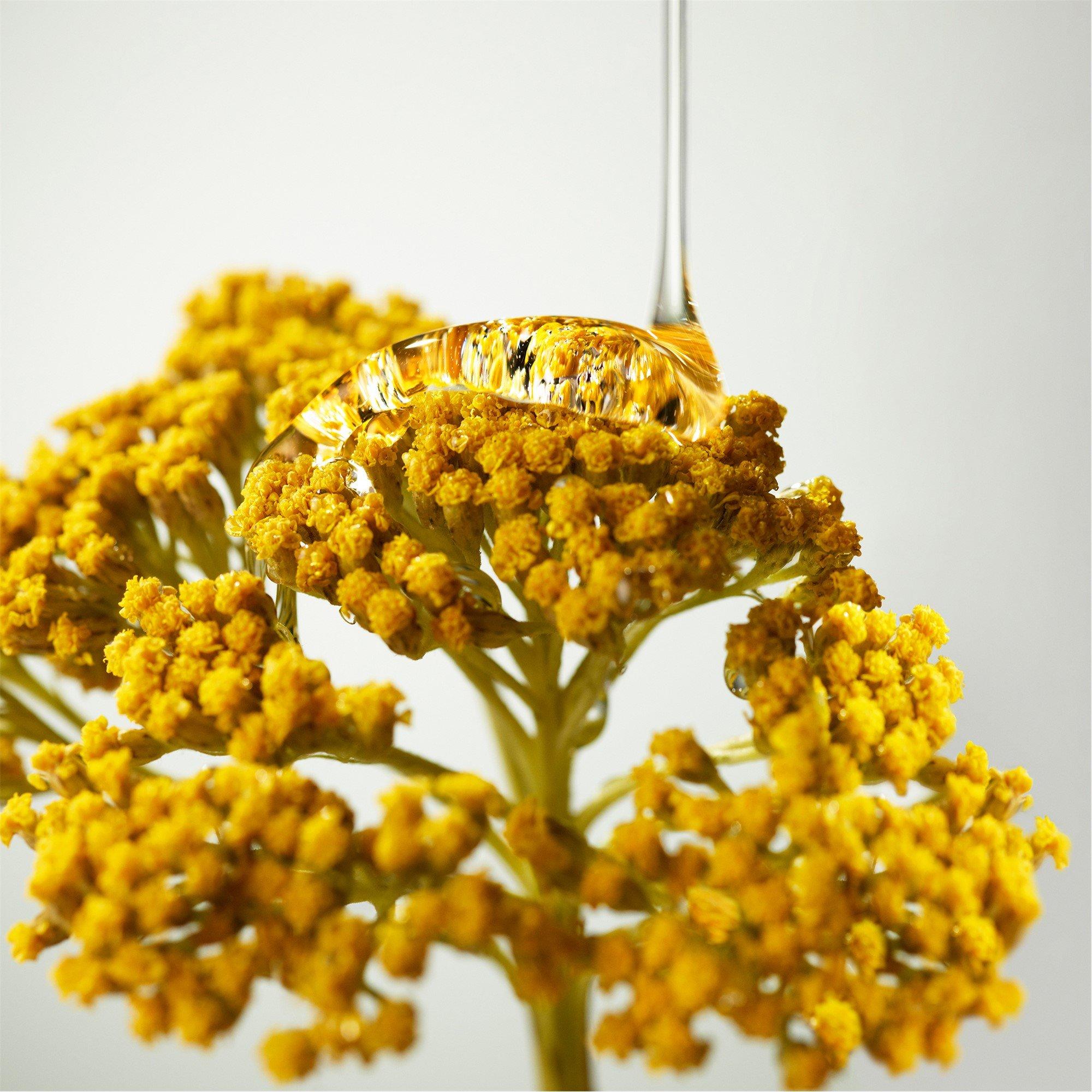 Cream - Origins - Plantscription™ Wrinkle Correction Eye Cream with Encapsulated Retinol 15ml - 6