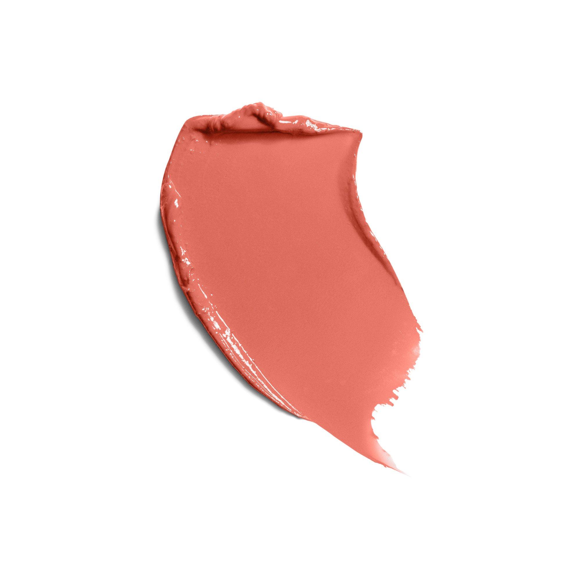 Chatbot - Shiseido - TECHNOSATIN GEL LIPSTICK - 2