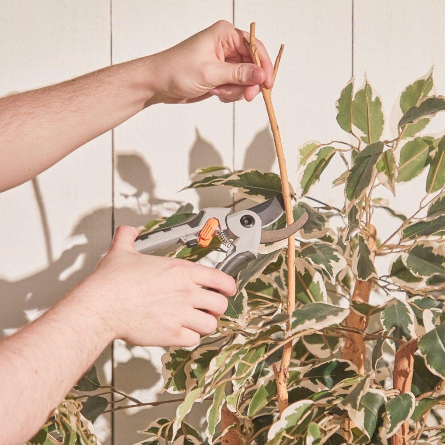 Black - VonHaus - VonHaus Pruning Set - 9