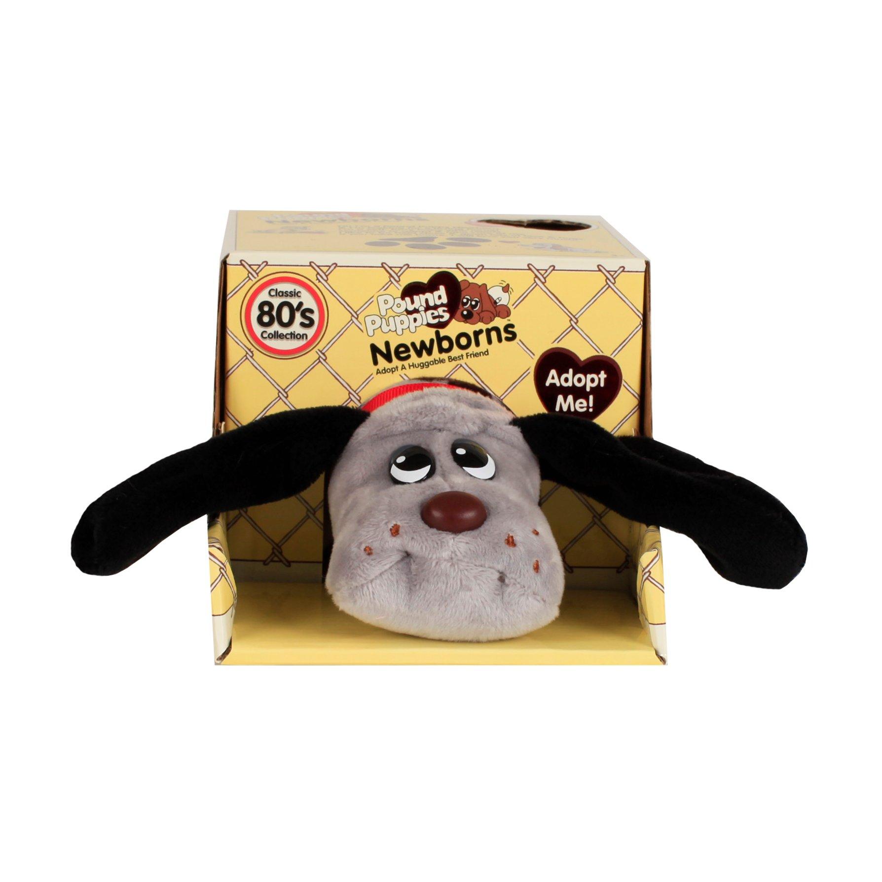 Wind Designs POUND PUPPIES NEWBORNS W5 ECO SURPRISE REVEAL ASST