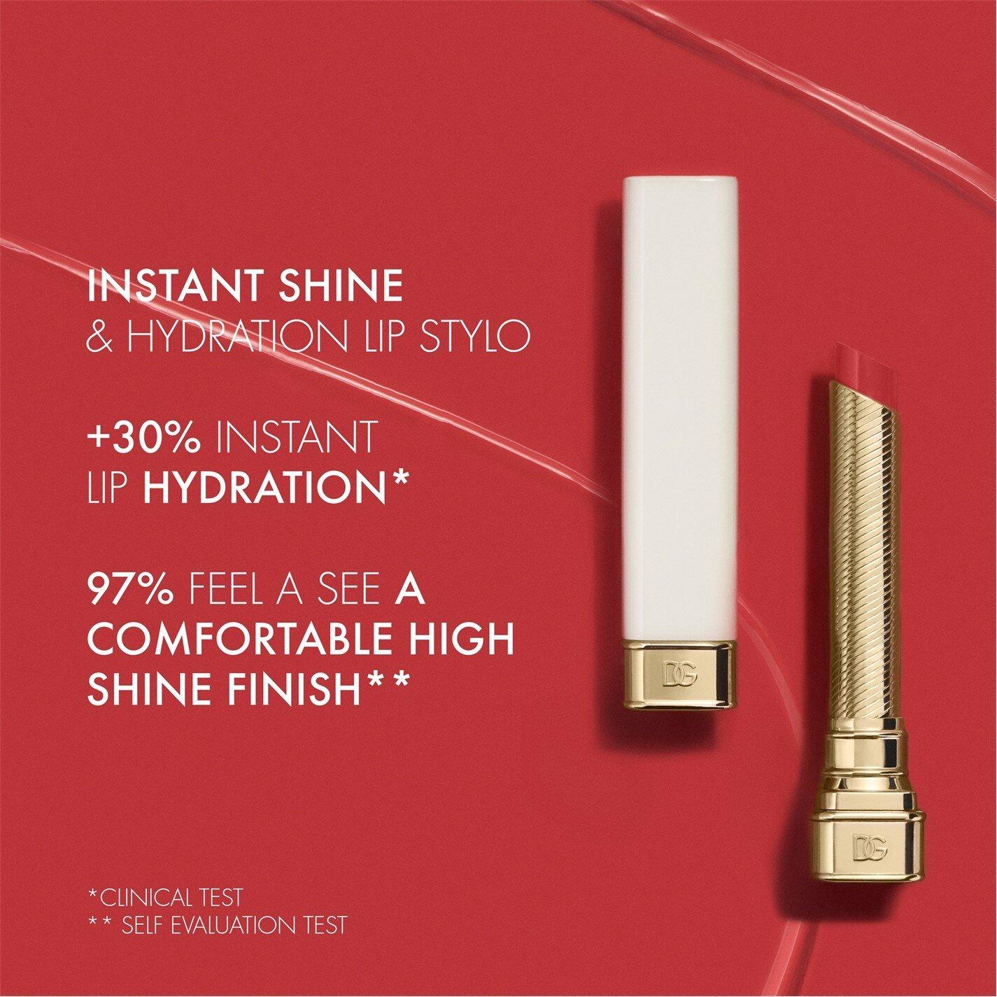 333 - Dolce and Gabbana - My Juicy Sheer Lip Stylo Hydration Lipstick - 5