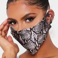 ISAWITFIRST Snake Print Face Mask
