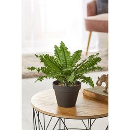 Homelife Homelife 27cm Artificial Fern