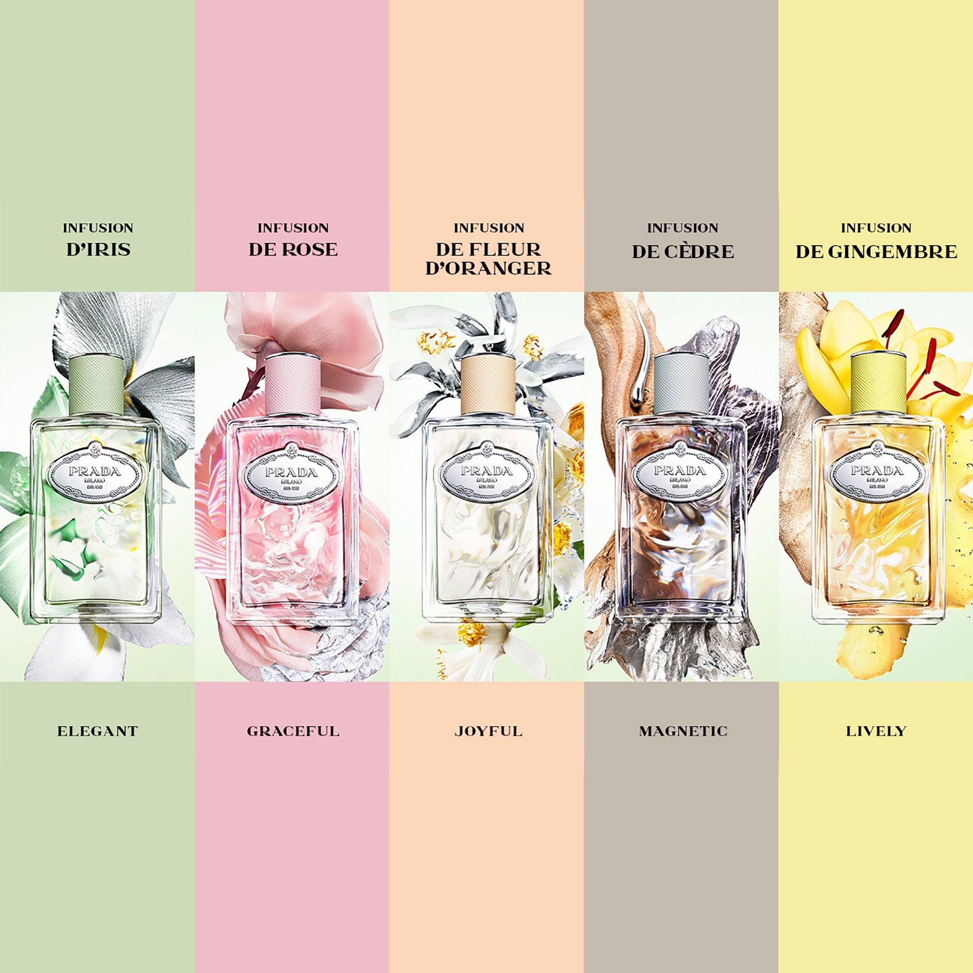 Clear - Prada - Infusion de Gingembre Eau de Parfum - 8