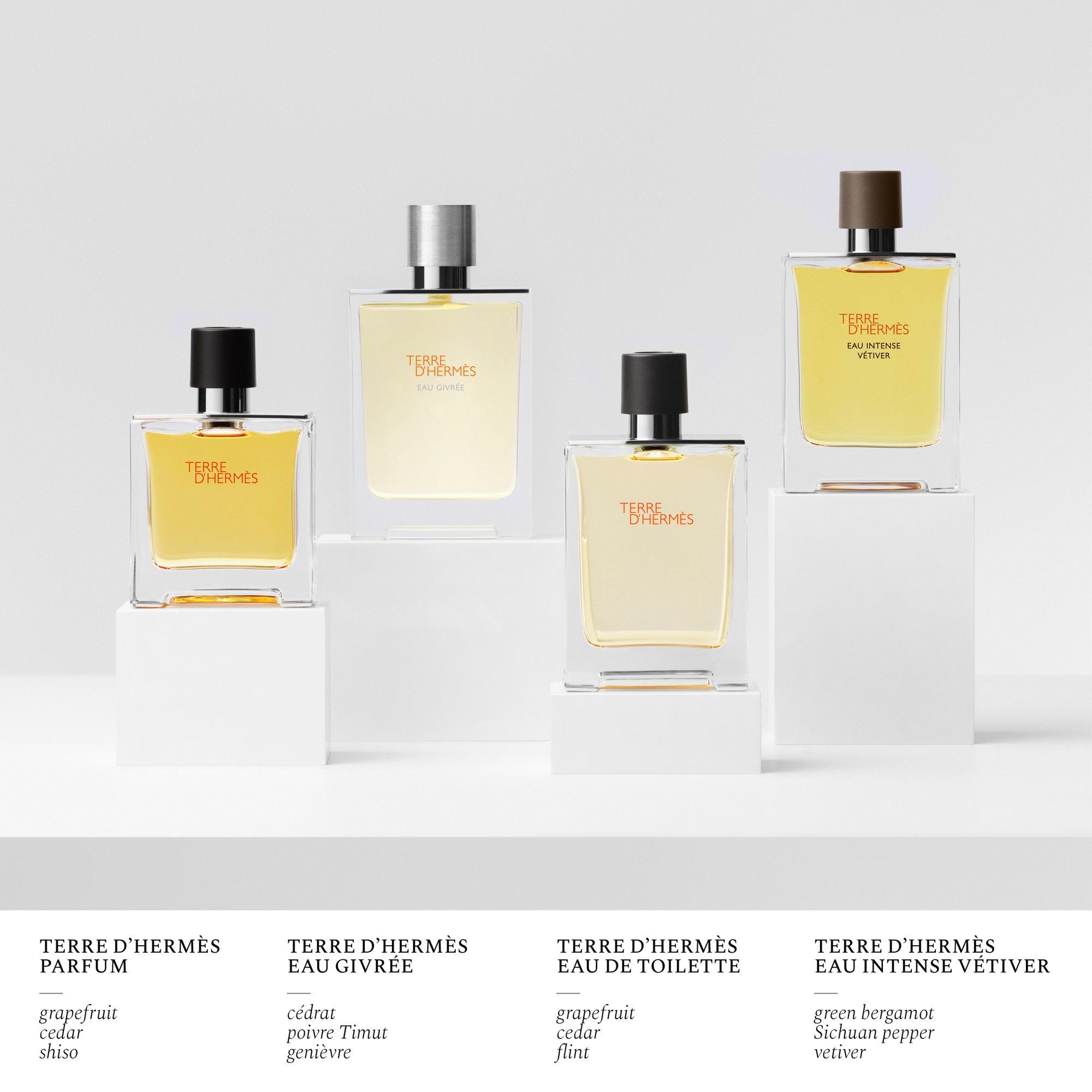 Clear - Hermes - Terre d'Hermès, Eau de Toilette, travel spray - 6