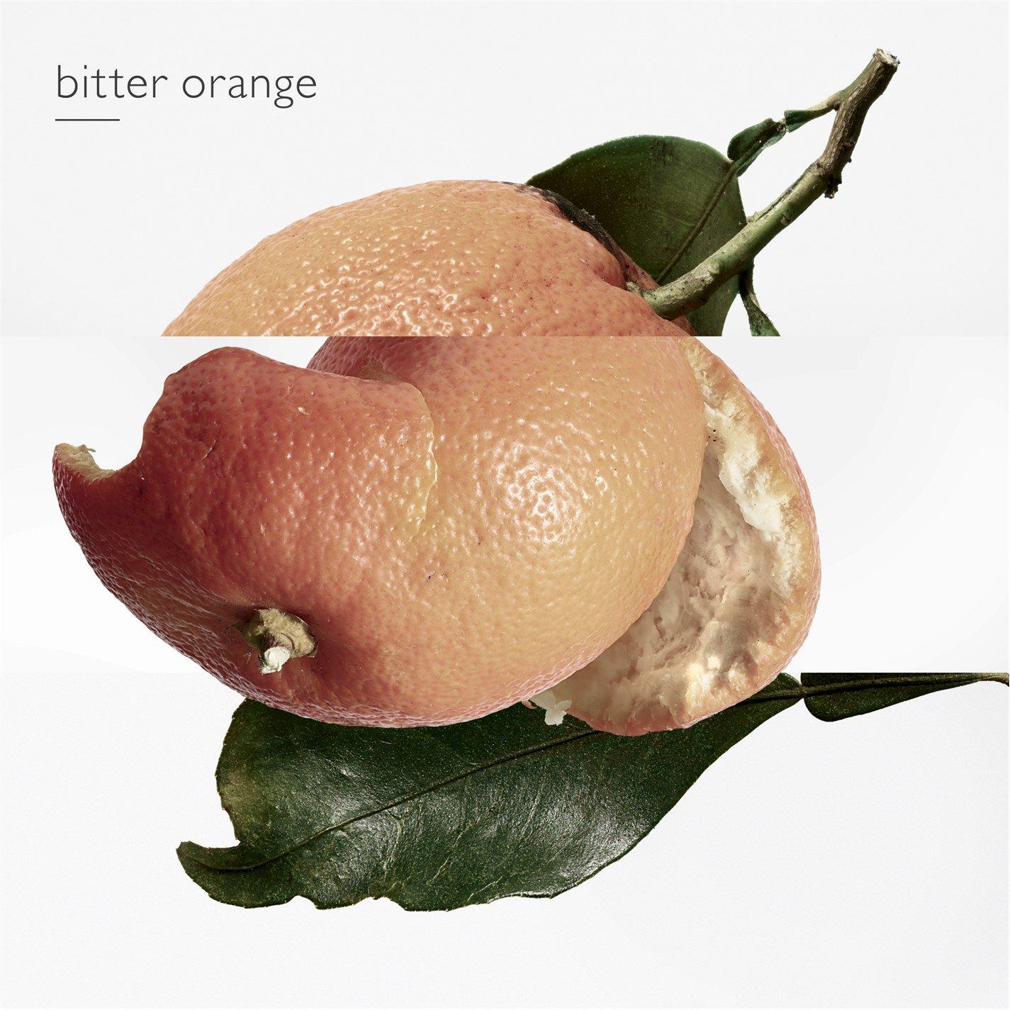 Clear - Hermes - Terre dHermes Eau de toilette 30ml and 125ml refill - 5