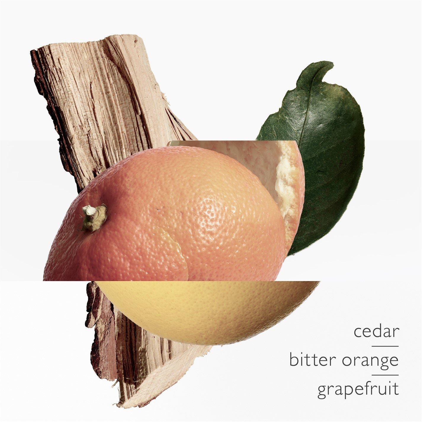 Clear - Hermes - Terre dHermes Eau de toilette 30ml and 125ml refill - 7