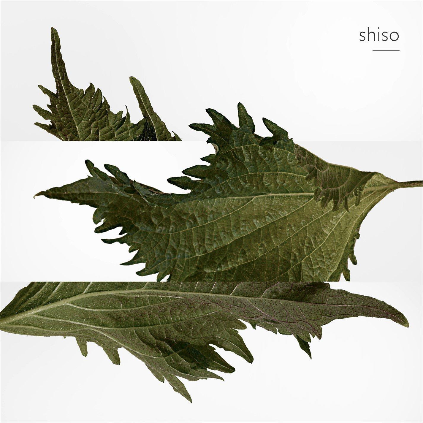 Clear - Hermes - Terre dHermes Pure Perfume 30ml spray and 125ml refill - 6