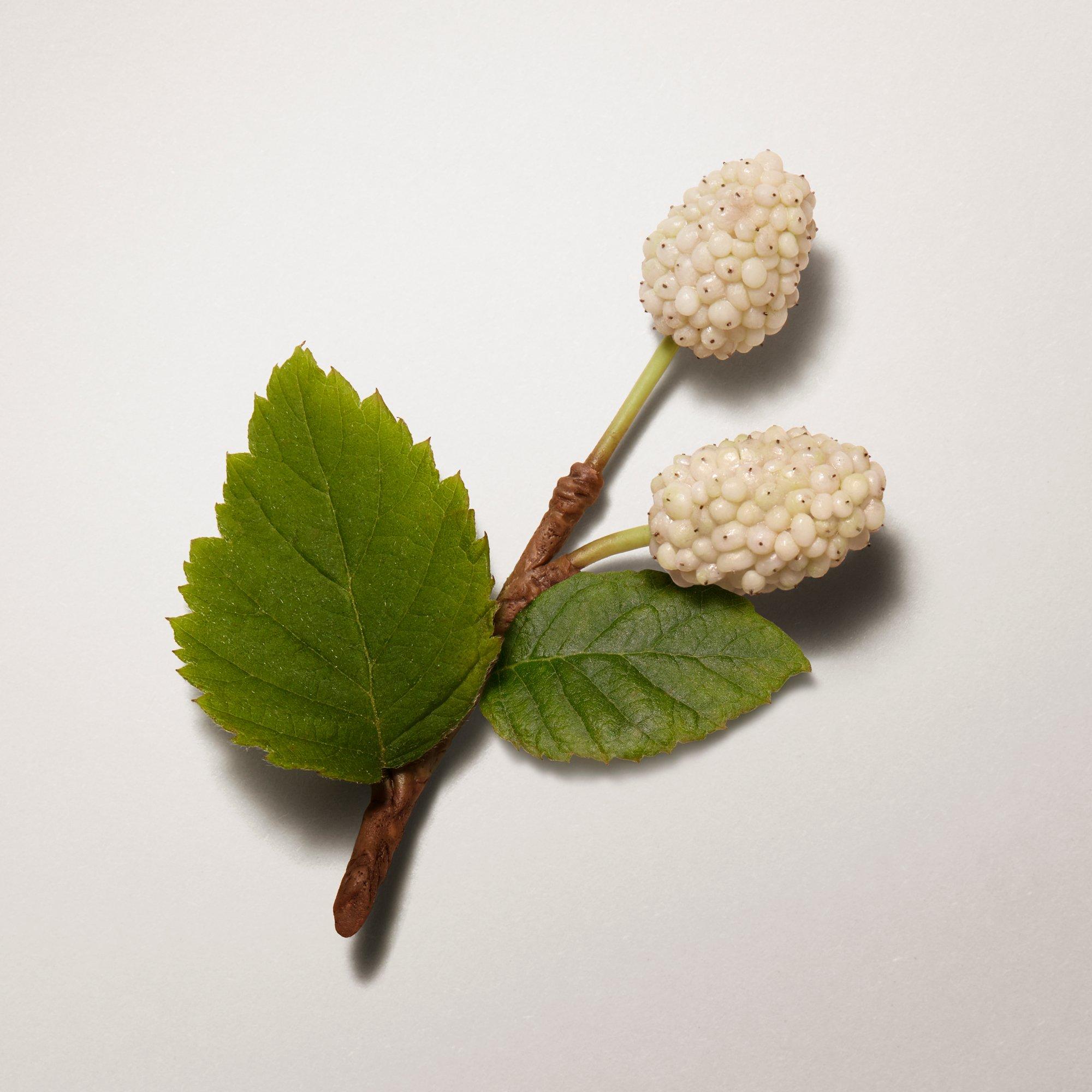 Clear - Hermes - Les Mains Hermès Complete Hand Care 50ml - 3