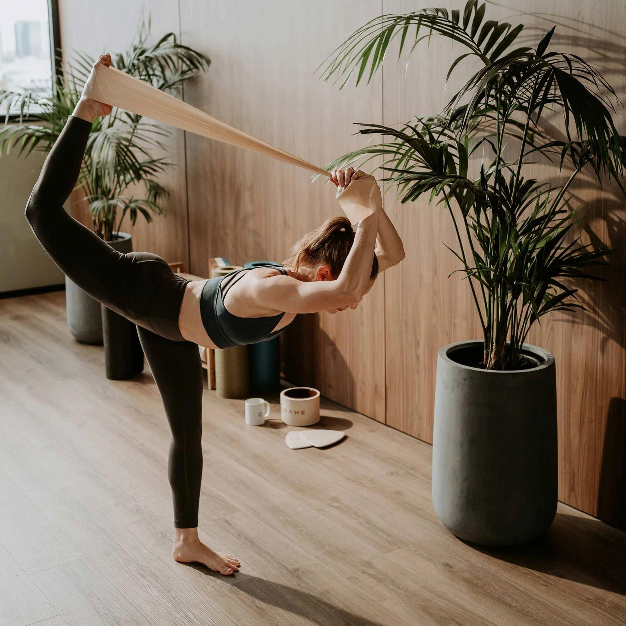 Multi - Bahe - Flowbands Set - 4