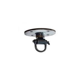 Everlast Pin Swivel Fixture