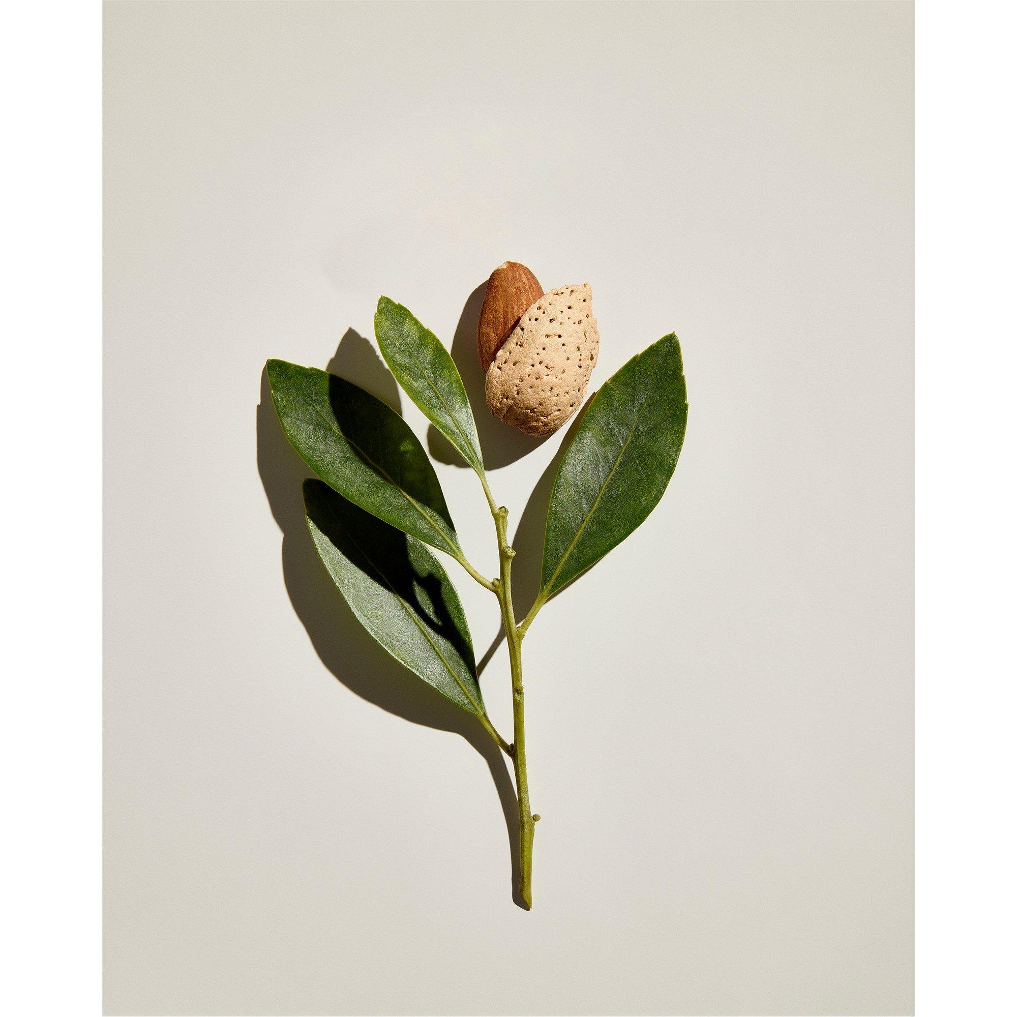 None - Origins - CHECKS AND BALANCES Milky Oil Cleanser + Makeup Remover 150ml - 6