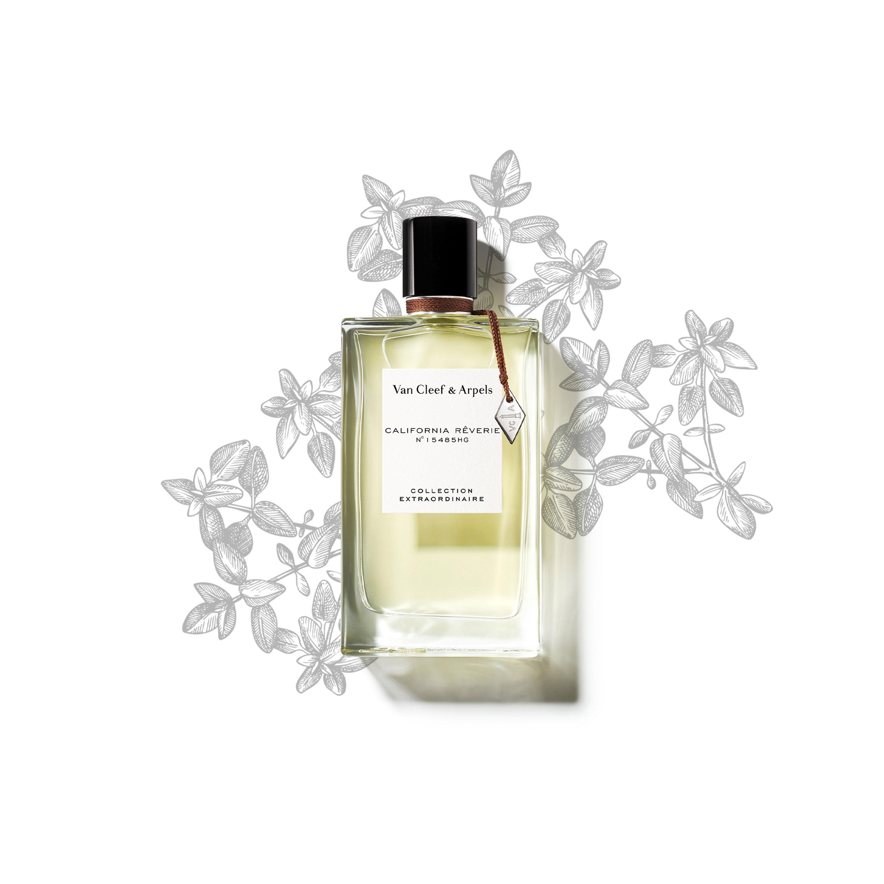 Extraordinaire - Van Cleef and Arpels - California Reverie Eau de Parfum 75ml - 3