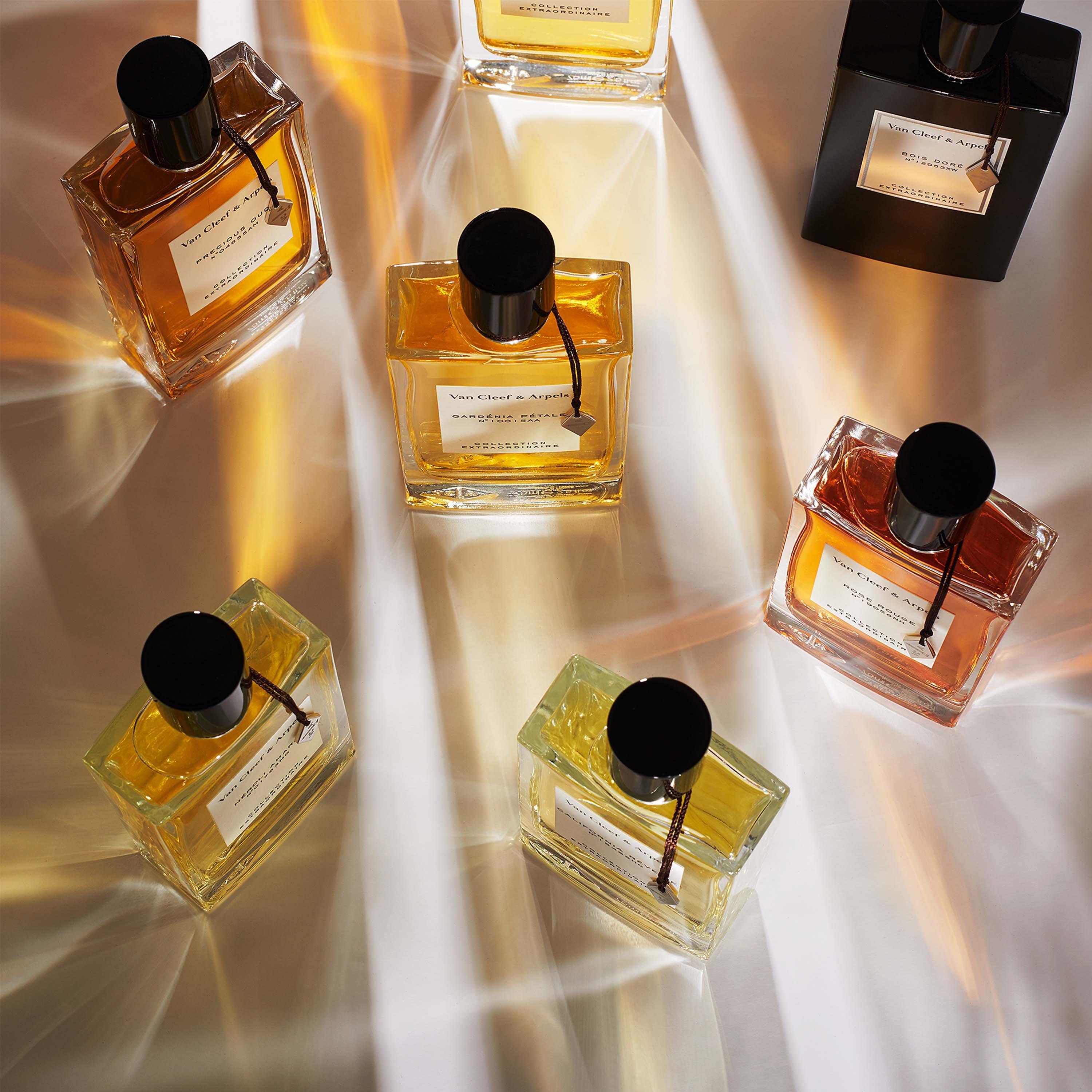 Extraordinaire - Van Cleef and Arpels - Ambre Imperial Eau De Parfum 75ml - 5