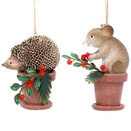 Gisela Graham Gisela 2pk Hedgehog 99