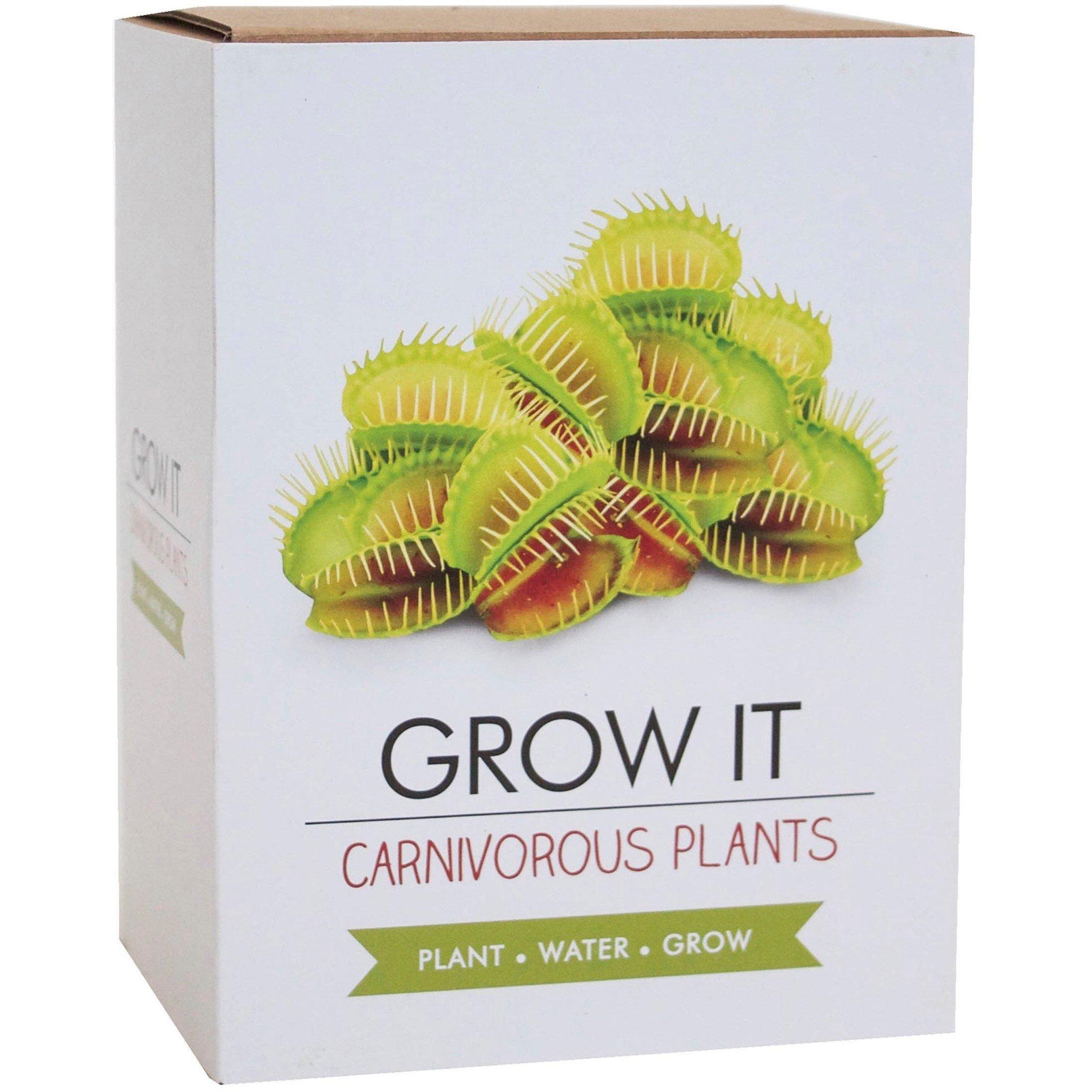 Grow It  Carnivorous Plant - Brown/Green