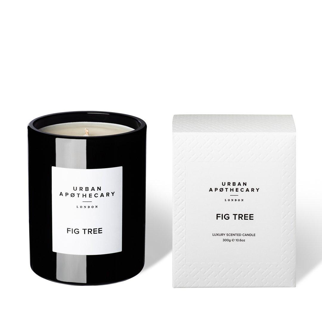 Urban Apothecary  Large Luxury Candle - Fig Tree