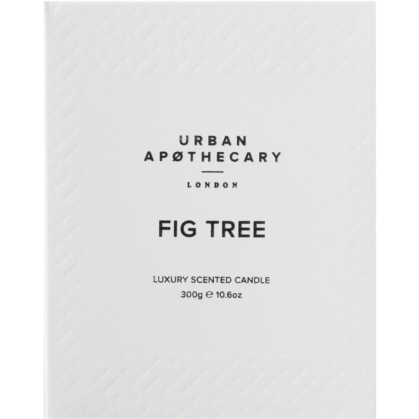 Fig Tree - Urban Apothecary - Large Luxury Candle - 2