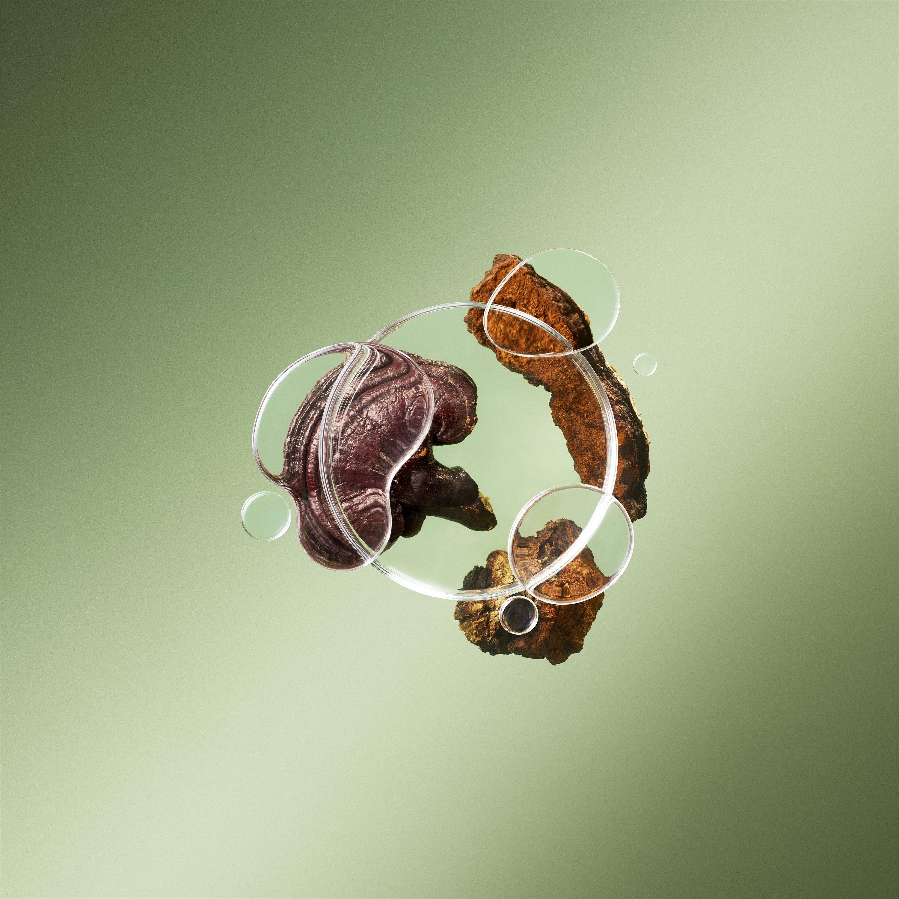 None - Origins - DR. WEIL FOR ORIGINS™ MEGA-MUSHROOM - 9