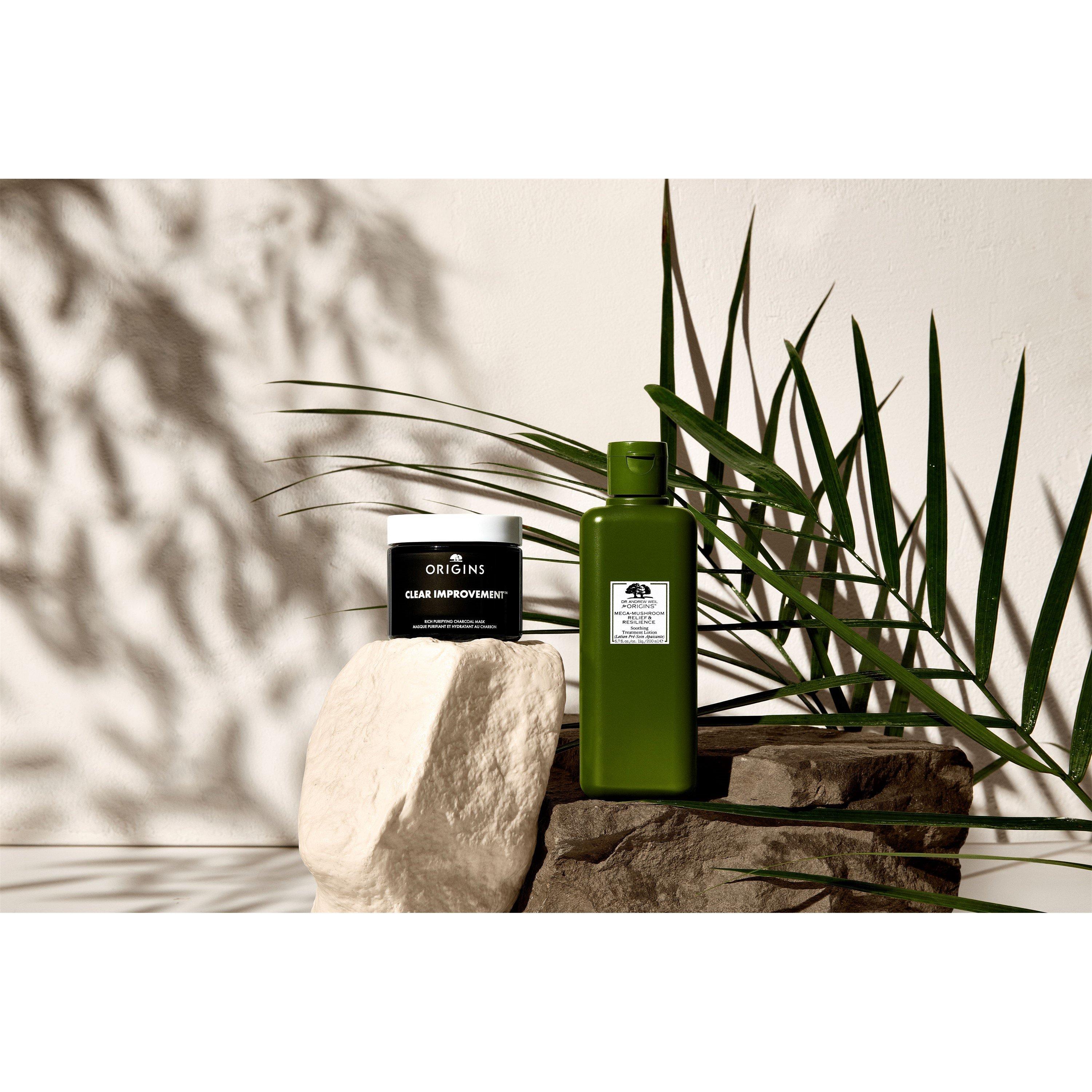 None - Origins - CLEAR IMPROVEMENT™  RICH PURIFYING CHARCOAL MASK - 6