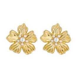 Ted Baker Ted Petar Earrings Ld99