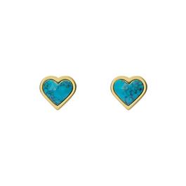 Ted Baker Ted Faris Earrings Ld99