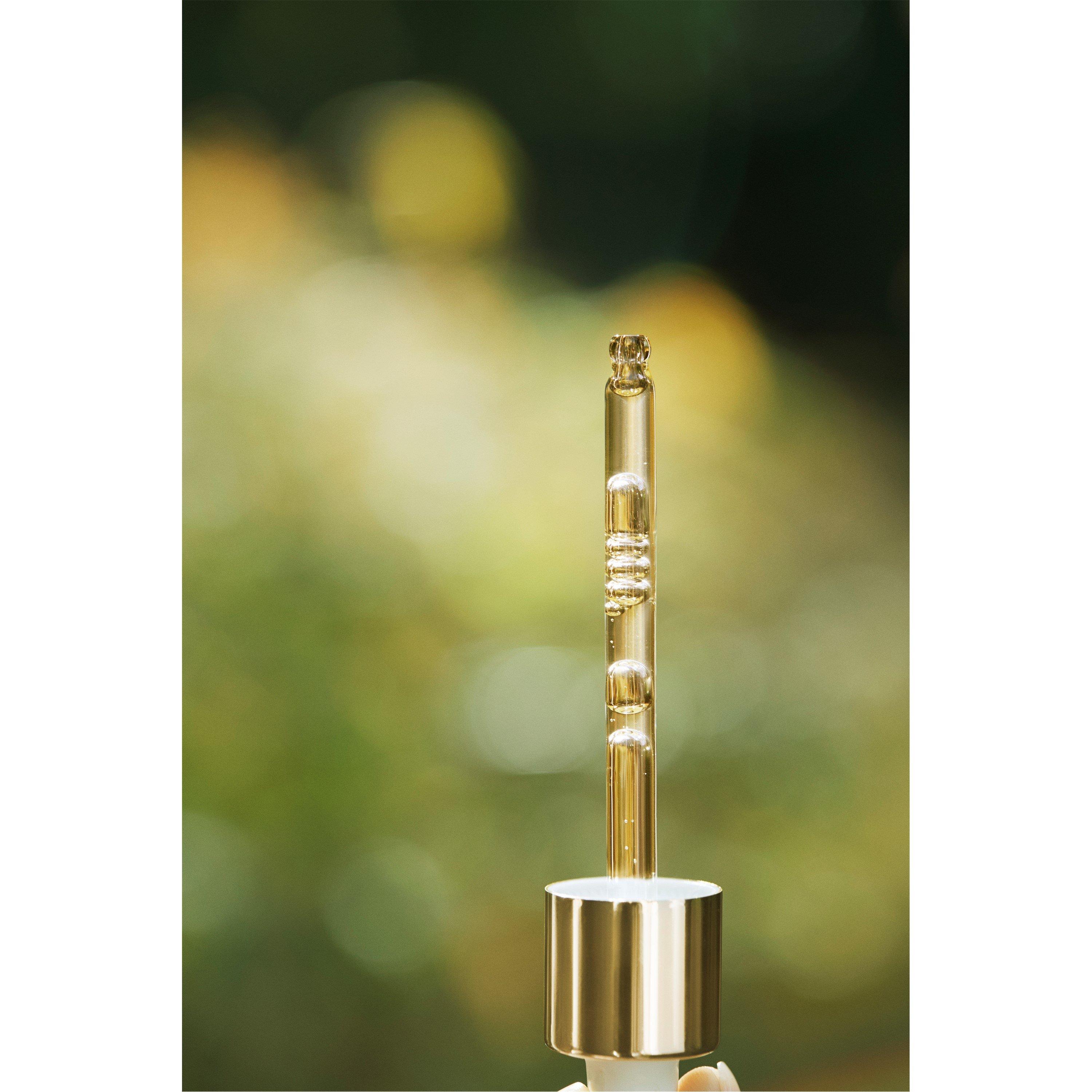 Clear - Eve Lom - EVE LOM Renewal Treatment Oil 30ml - 2