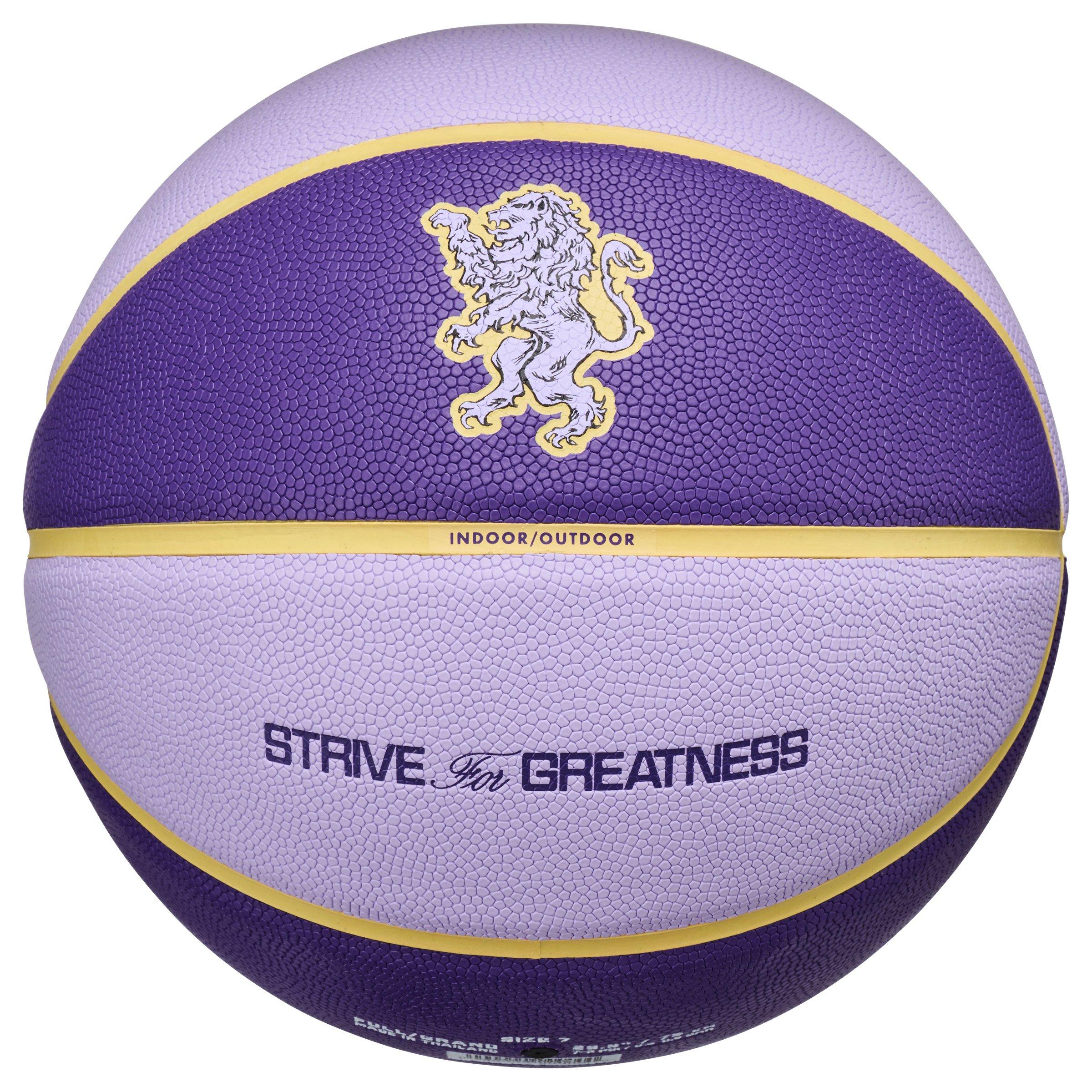 Hyd/C Gold/Purp - Nike - Lebron All-Court Basketball - 2