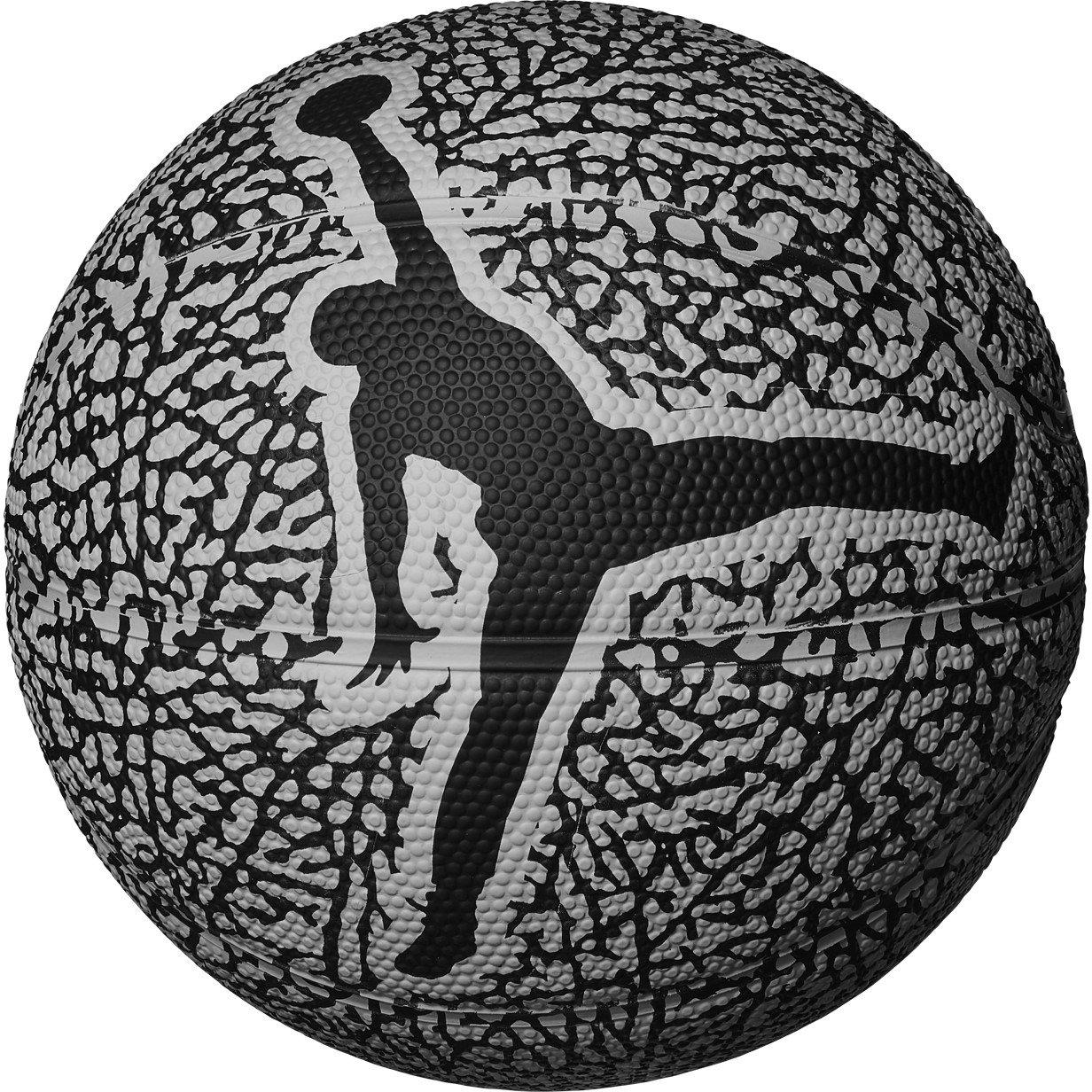 Wolf Grey/Black - Air Jordan - Jordan Mini Graphic Skills Basketball - 1