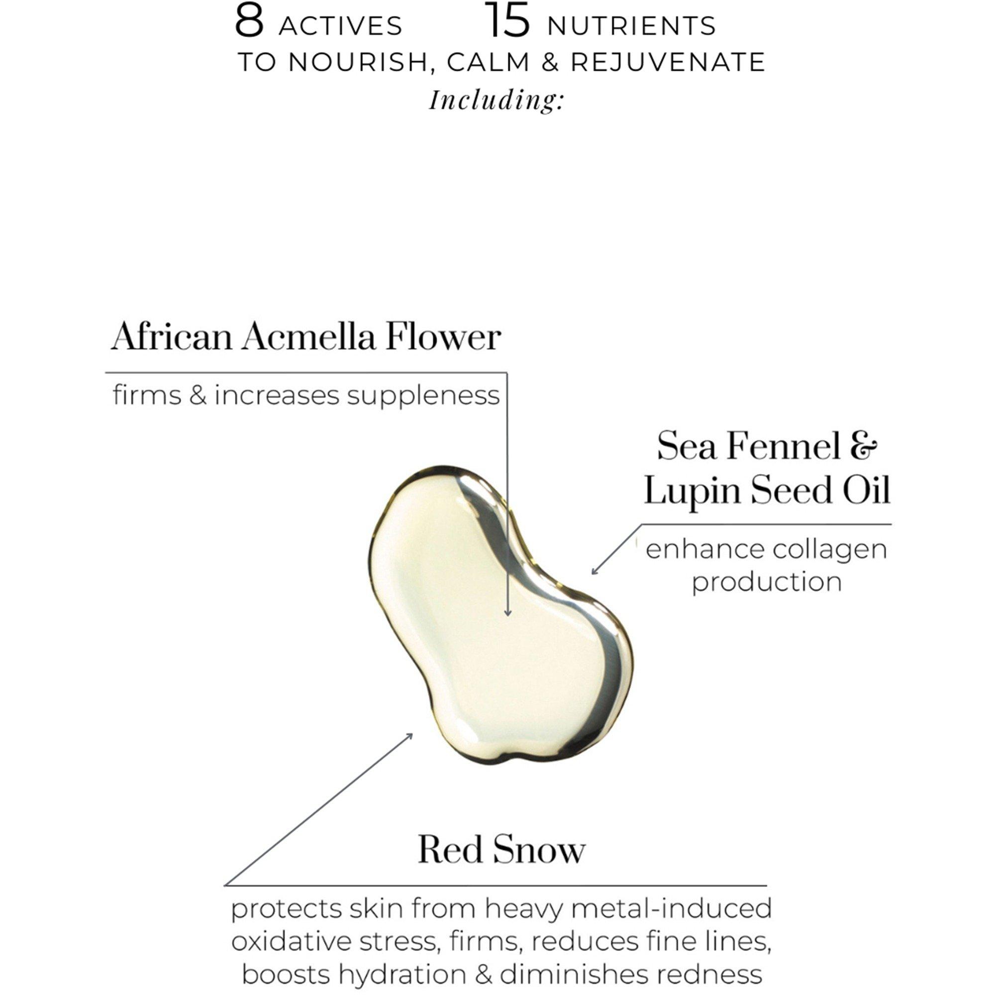 None - Oskia - Restoration Oil - 2
