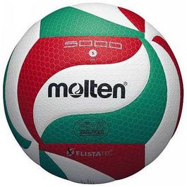 Molten Volleyball Ball 41