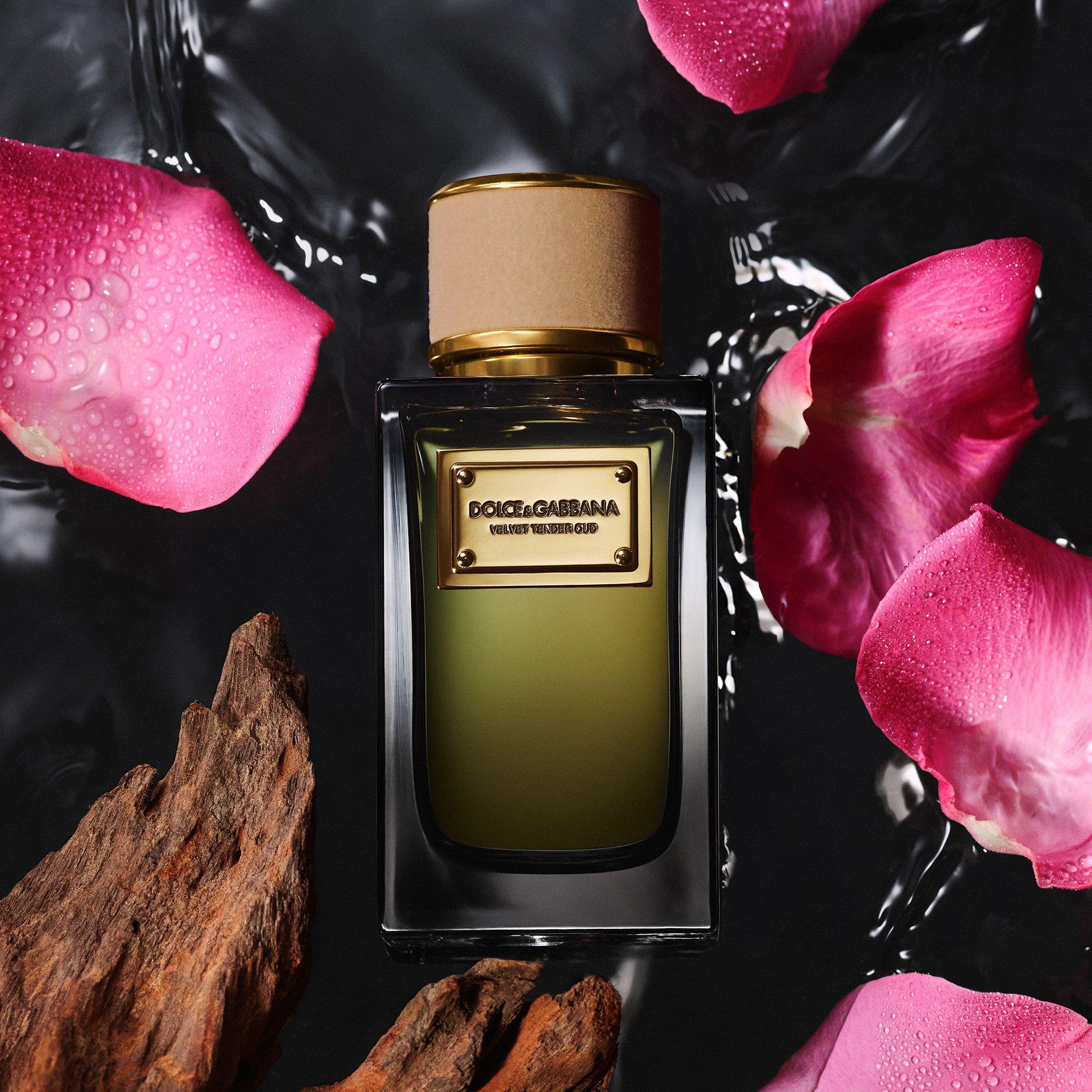 Clear - Dolce and Gabbana - Velvet Tender Oud Eau de Parfum - 3