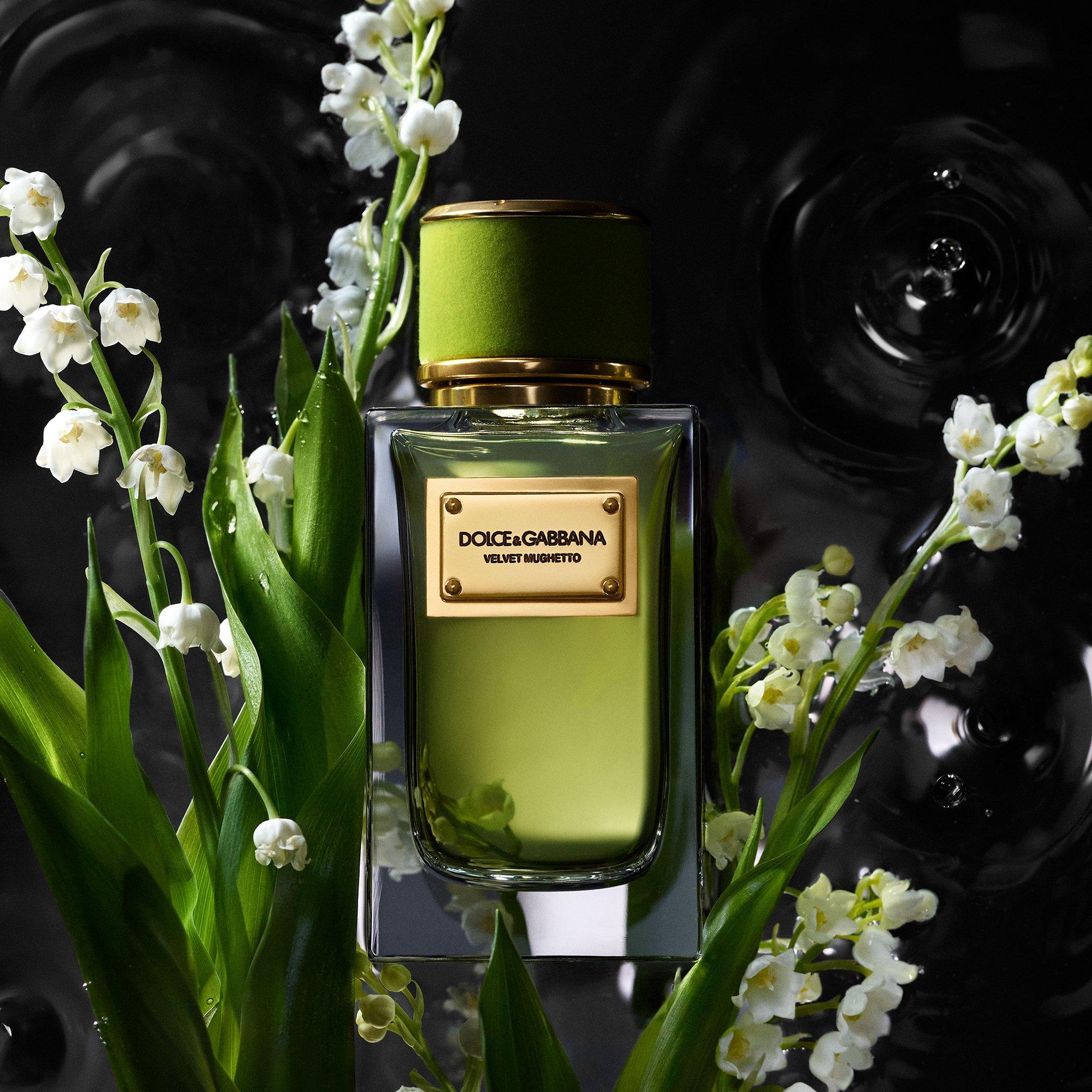 Clear - Dolce and Gabbana - Velvet Mughetto Eau de Parfum - 3