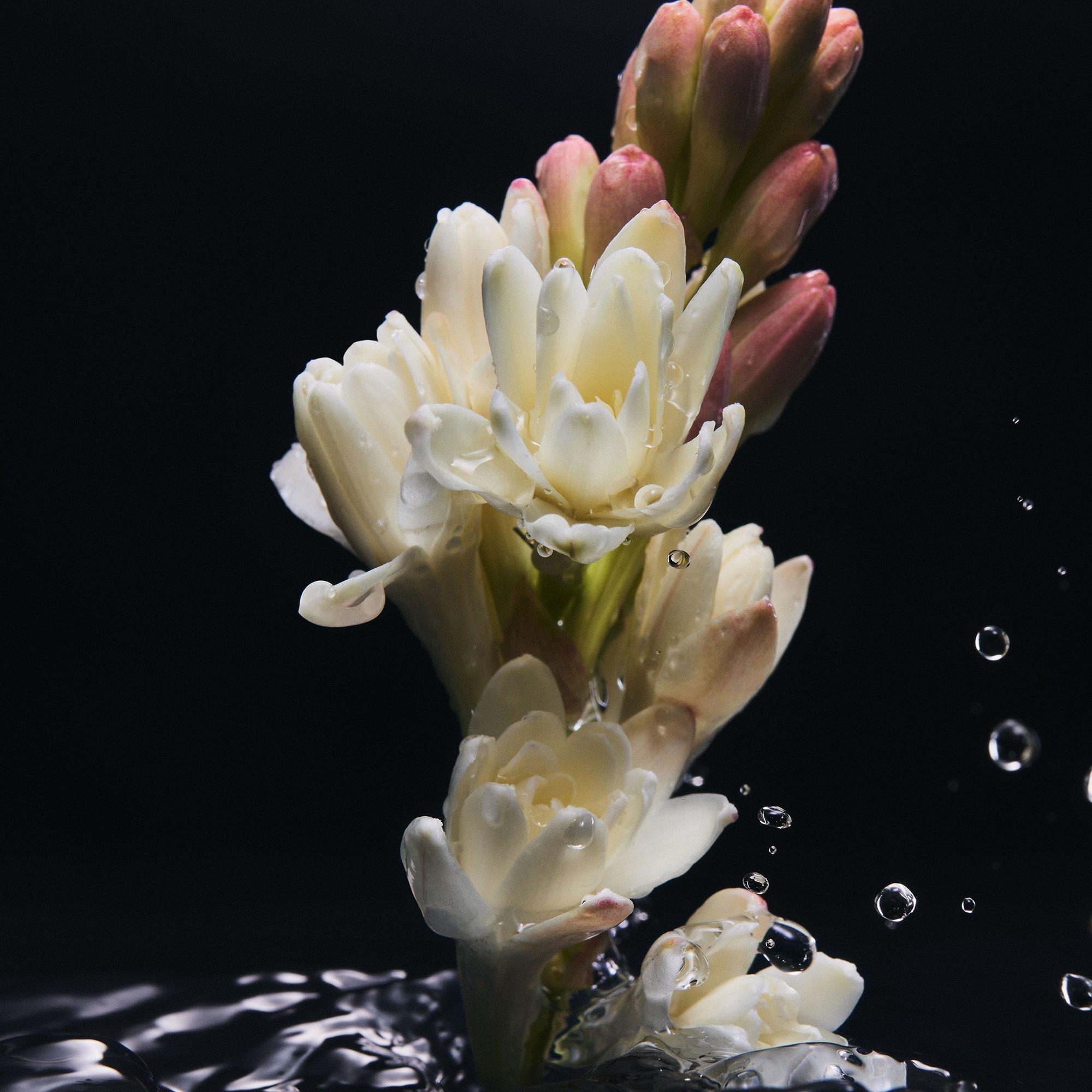 Clear - Dolce and Gabbana - Velvet Desire Eau de Parfum - 4