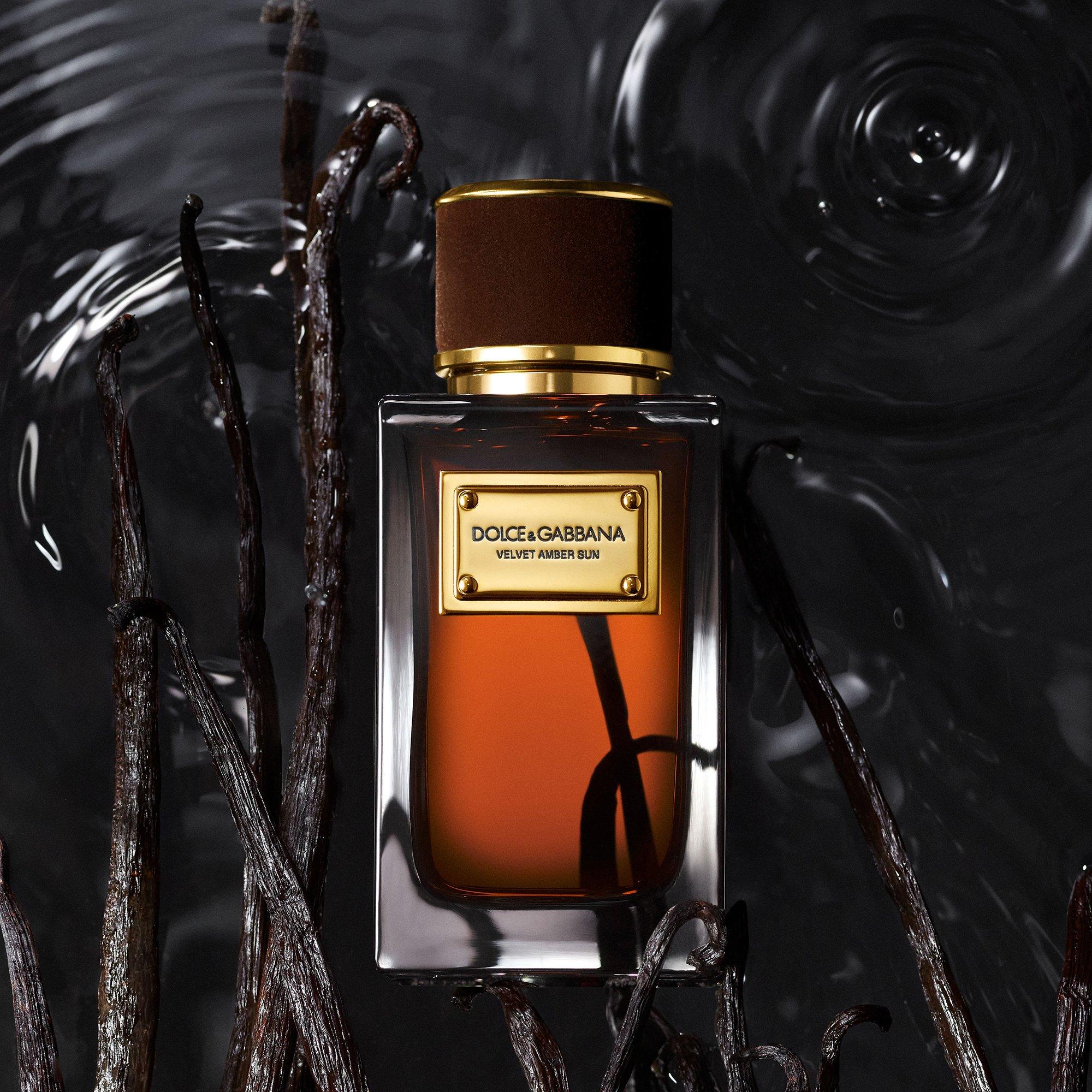 Clear - Dolce and Gabbana - Velvet Amber Sun Eau de Parfum - 3