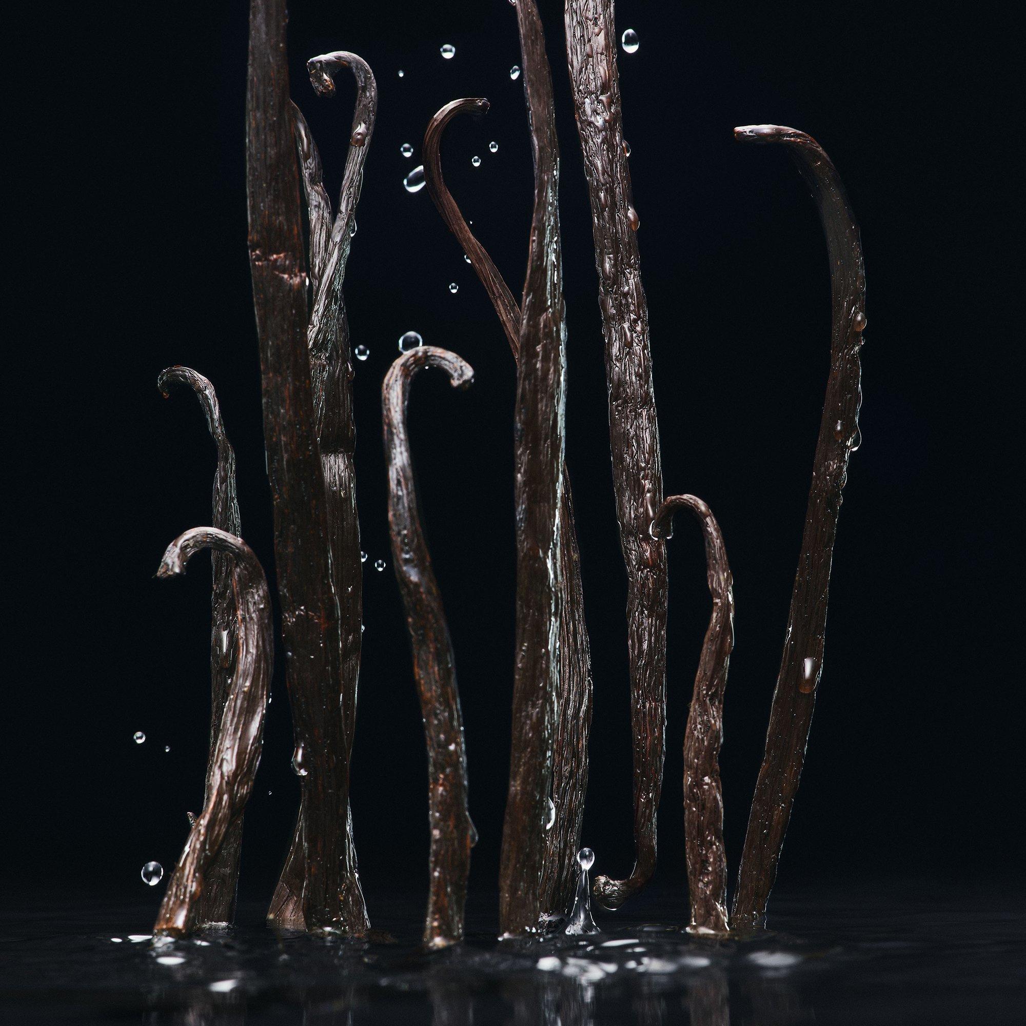 Clear - Dolce and Gabbana - Velvet Amber Sun Eau de Parfum - 4